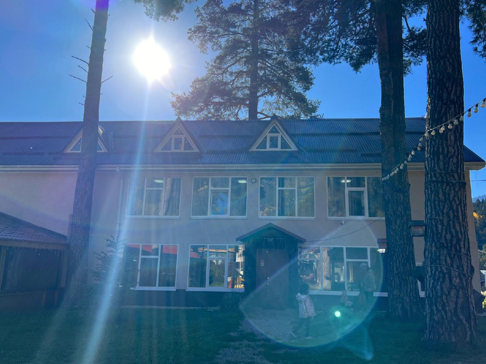 Фото Сосновый рай