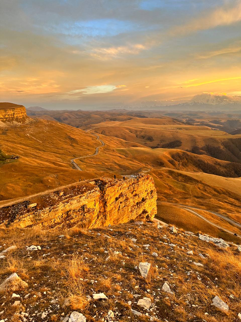 Фото Шафран