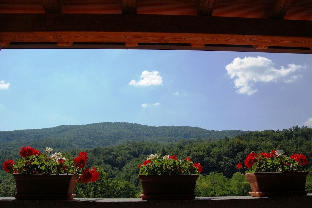 Фото Hiša posebne sorte