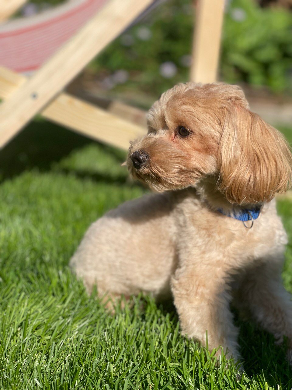 Фото Гостевой дом Рябинка