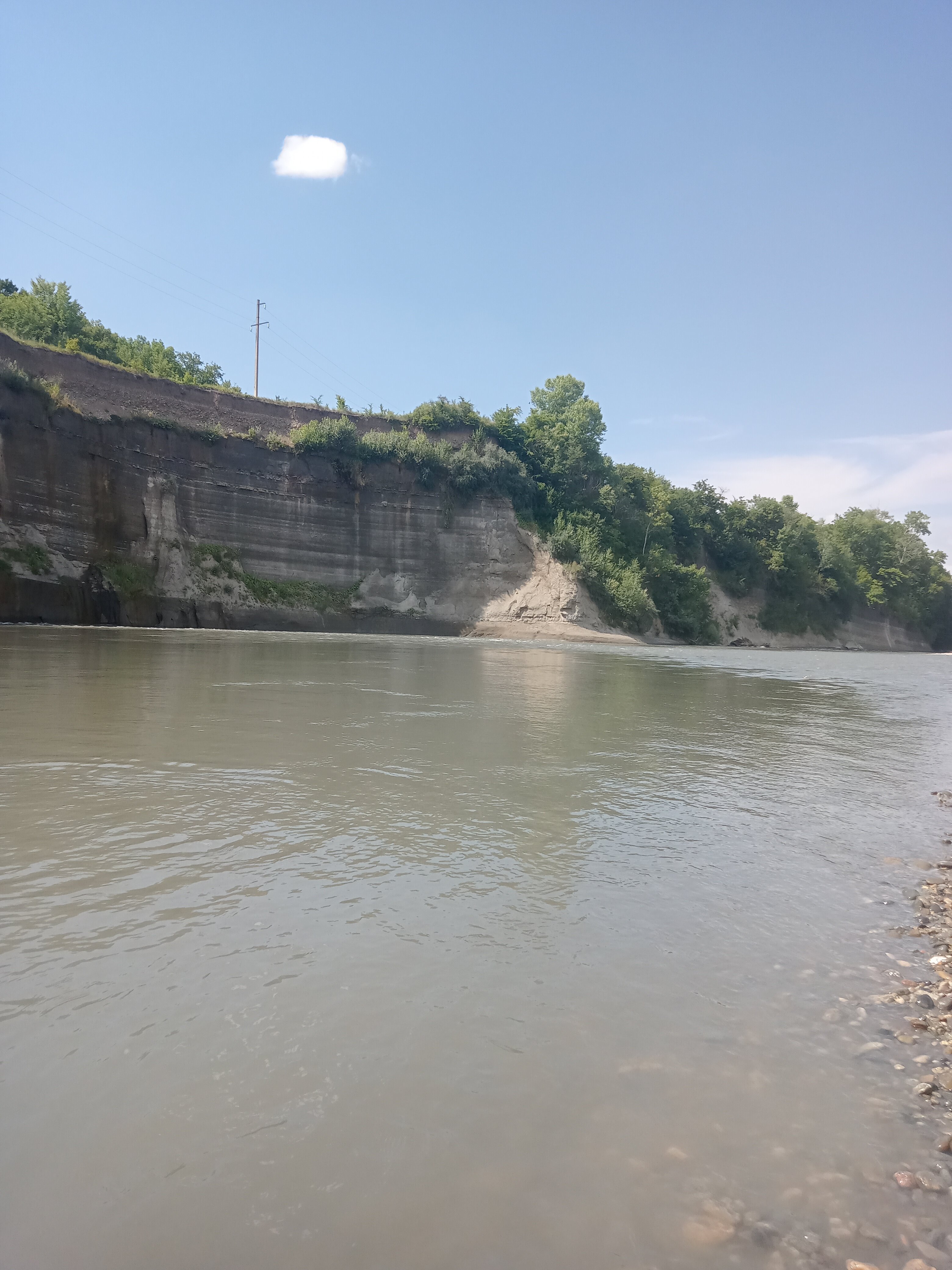 Фото Дикий дом