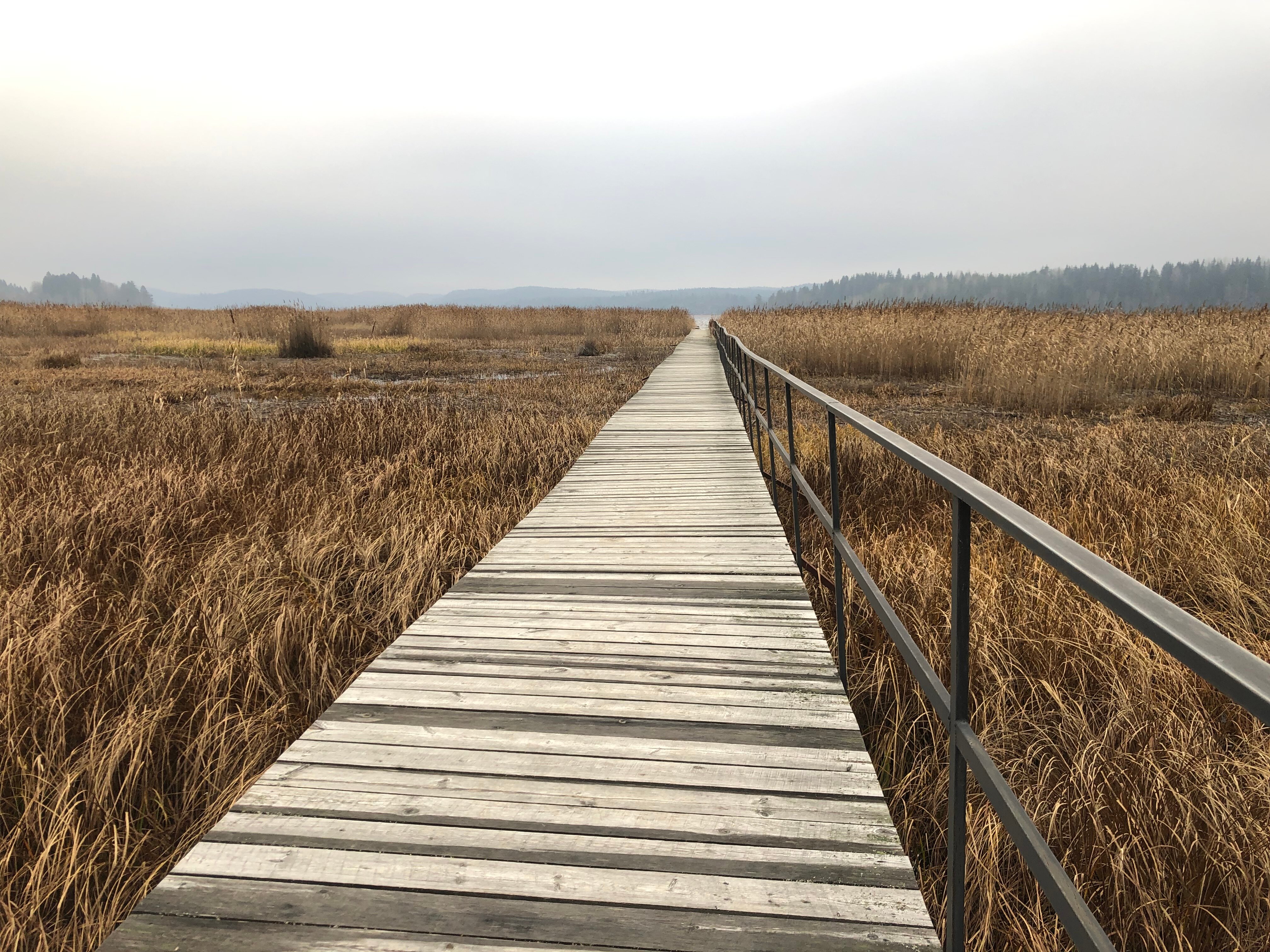 Фото Ярви Хаус