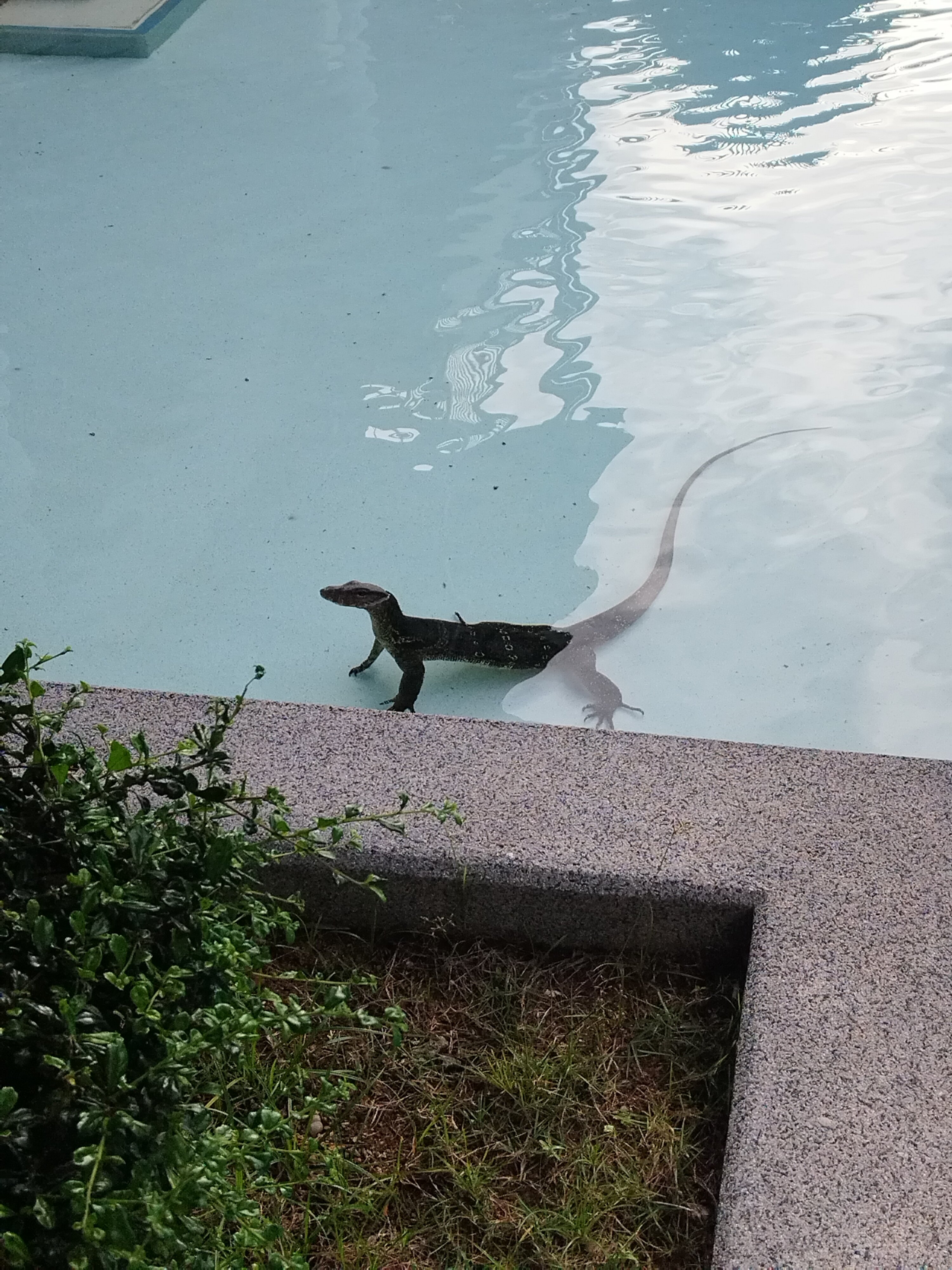 Фото The Waters Khao Lak by Katathani