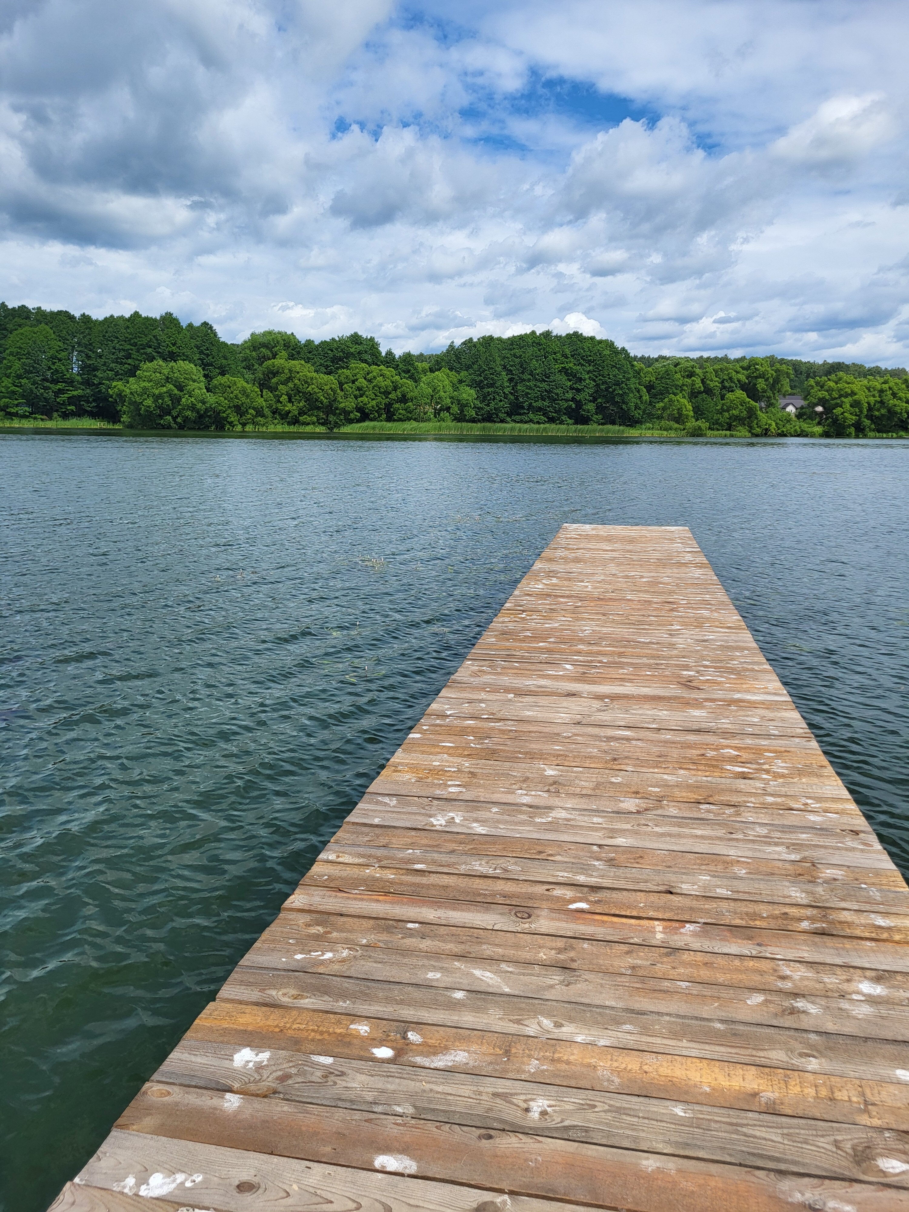 Фото Пильня