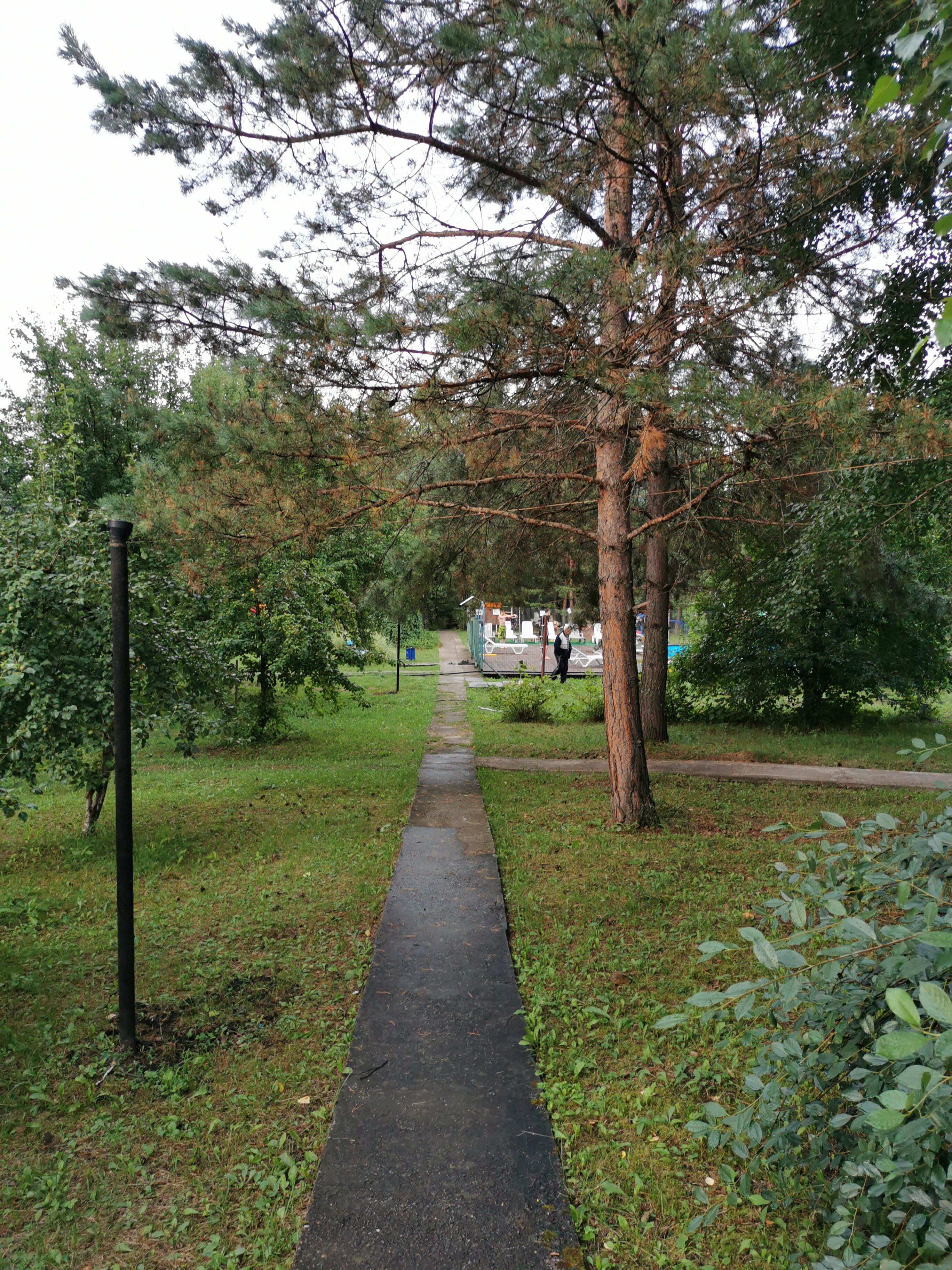 Фото Летний сад