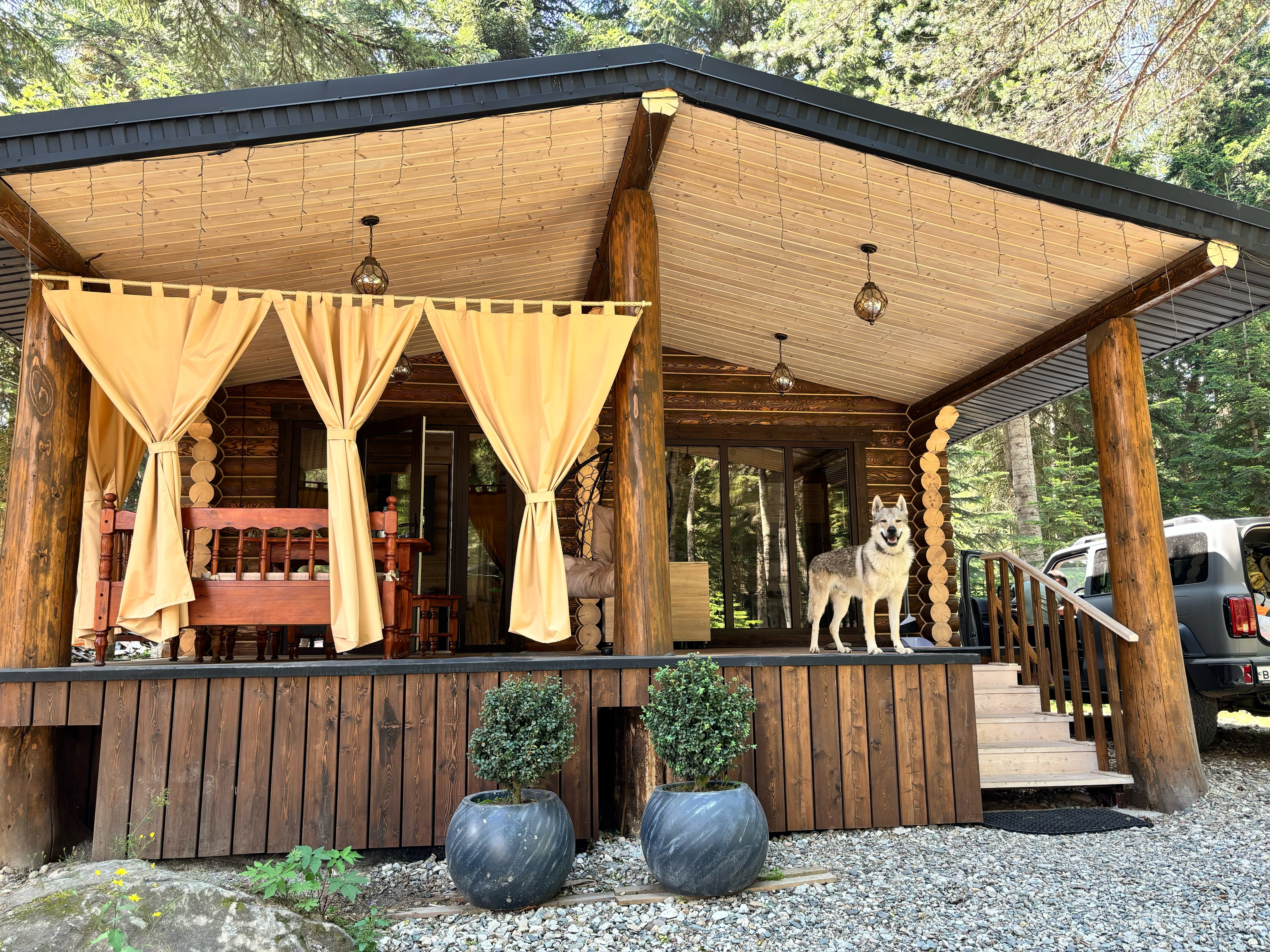 Фото Пихта-парк