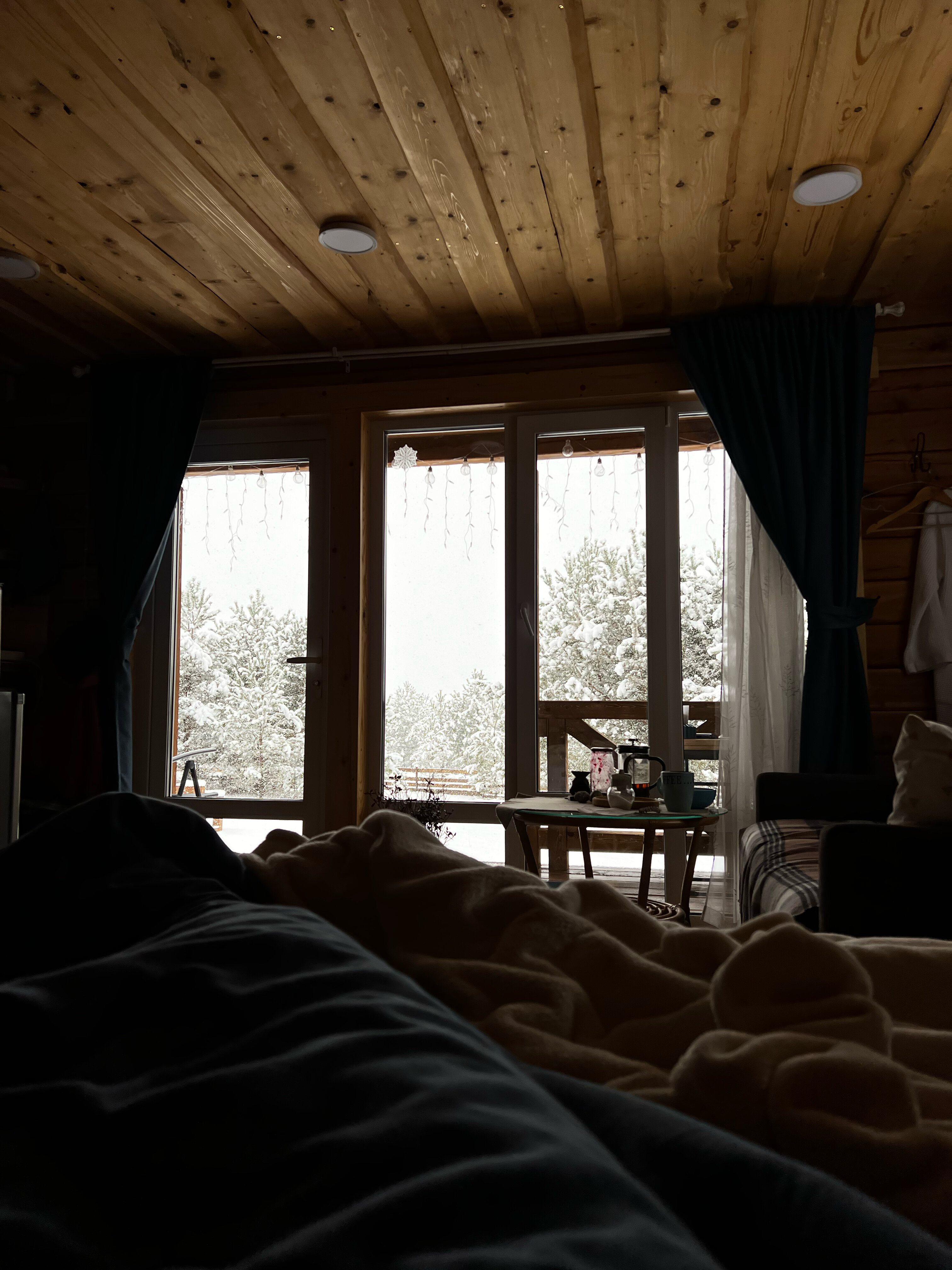 Фото Алтайский дом Перезагрузка