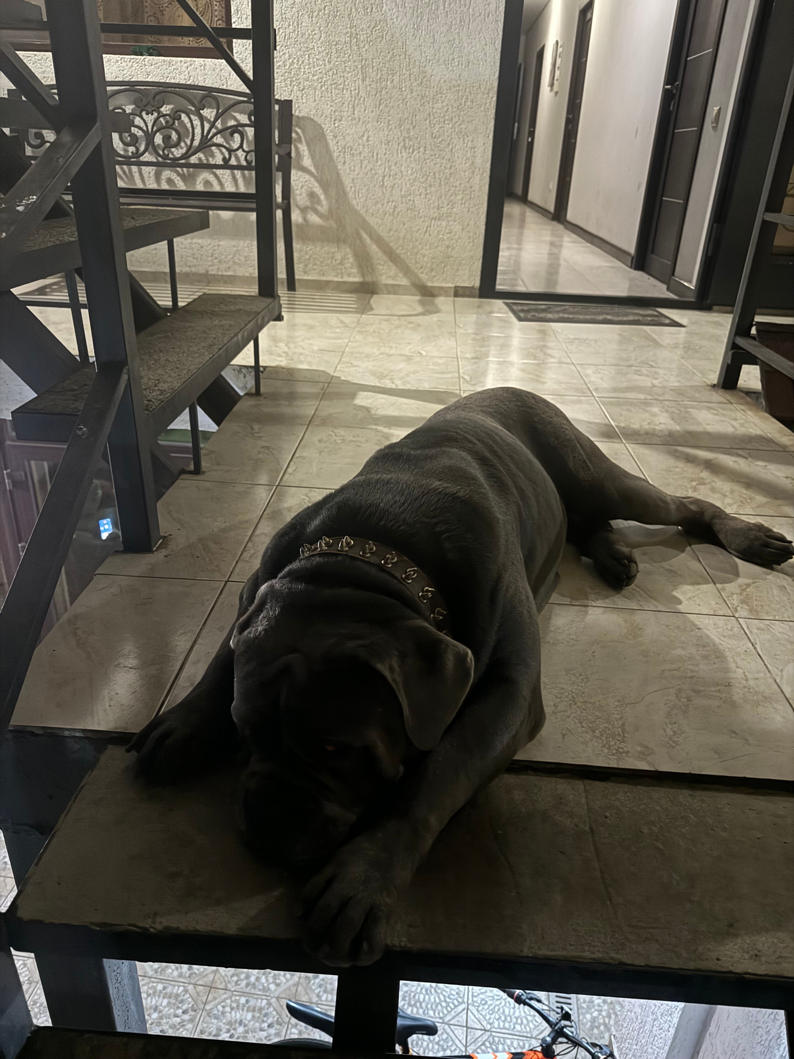 Фото Гостевой Дом Амра