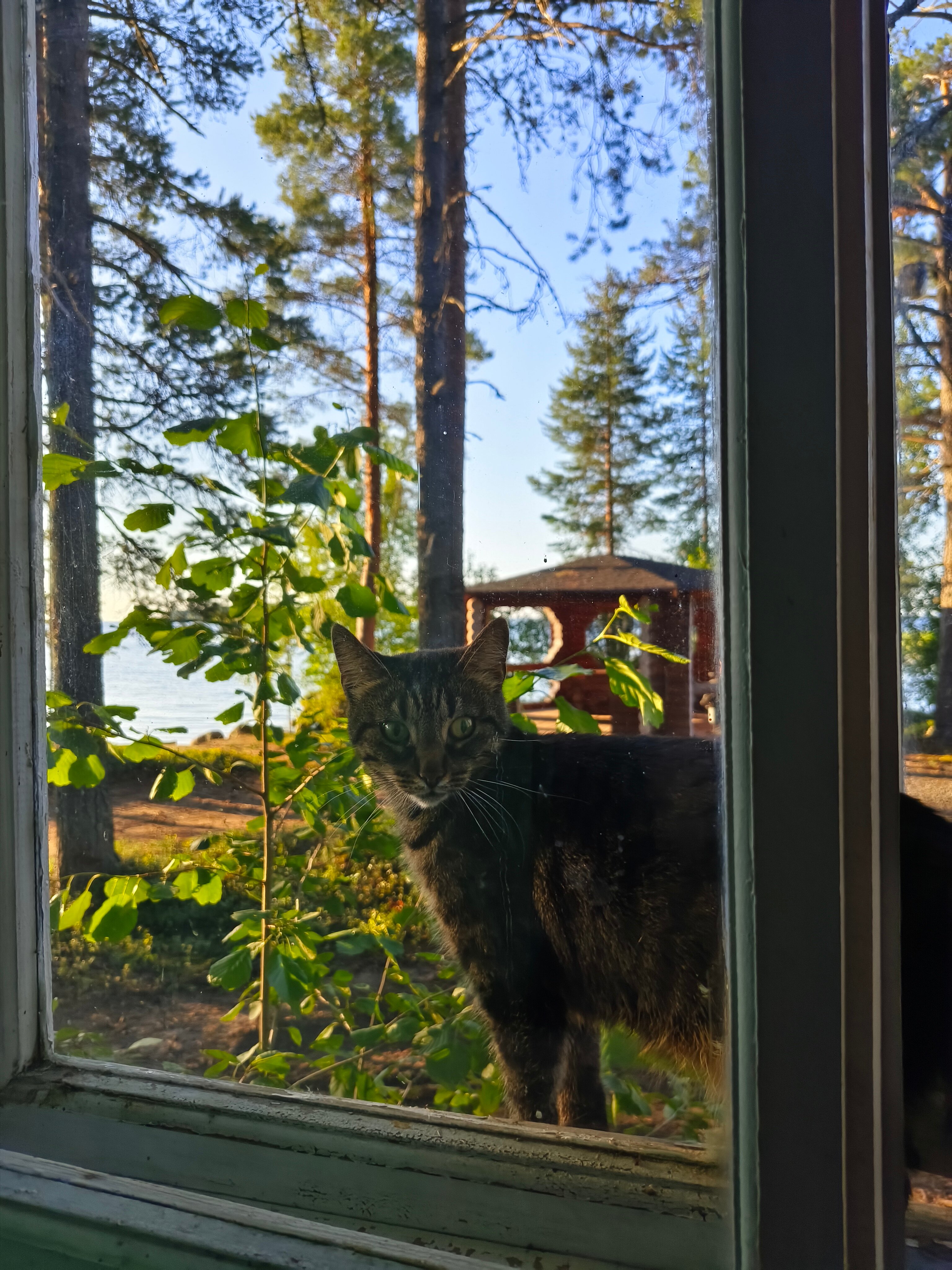 Фото Северное сияние