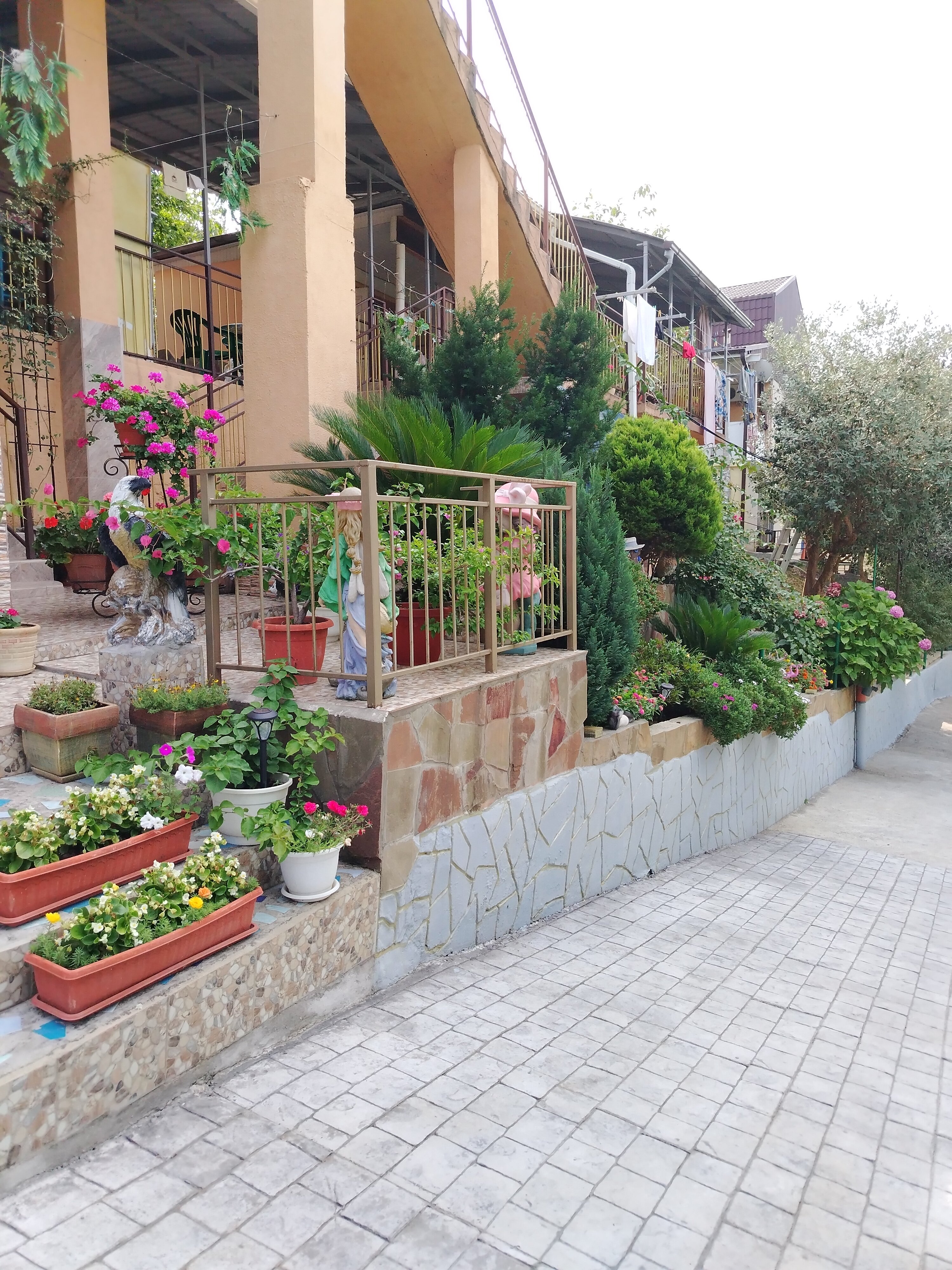 Фото Аэлита