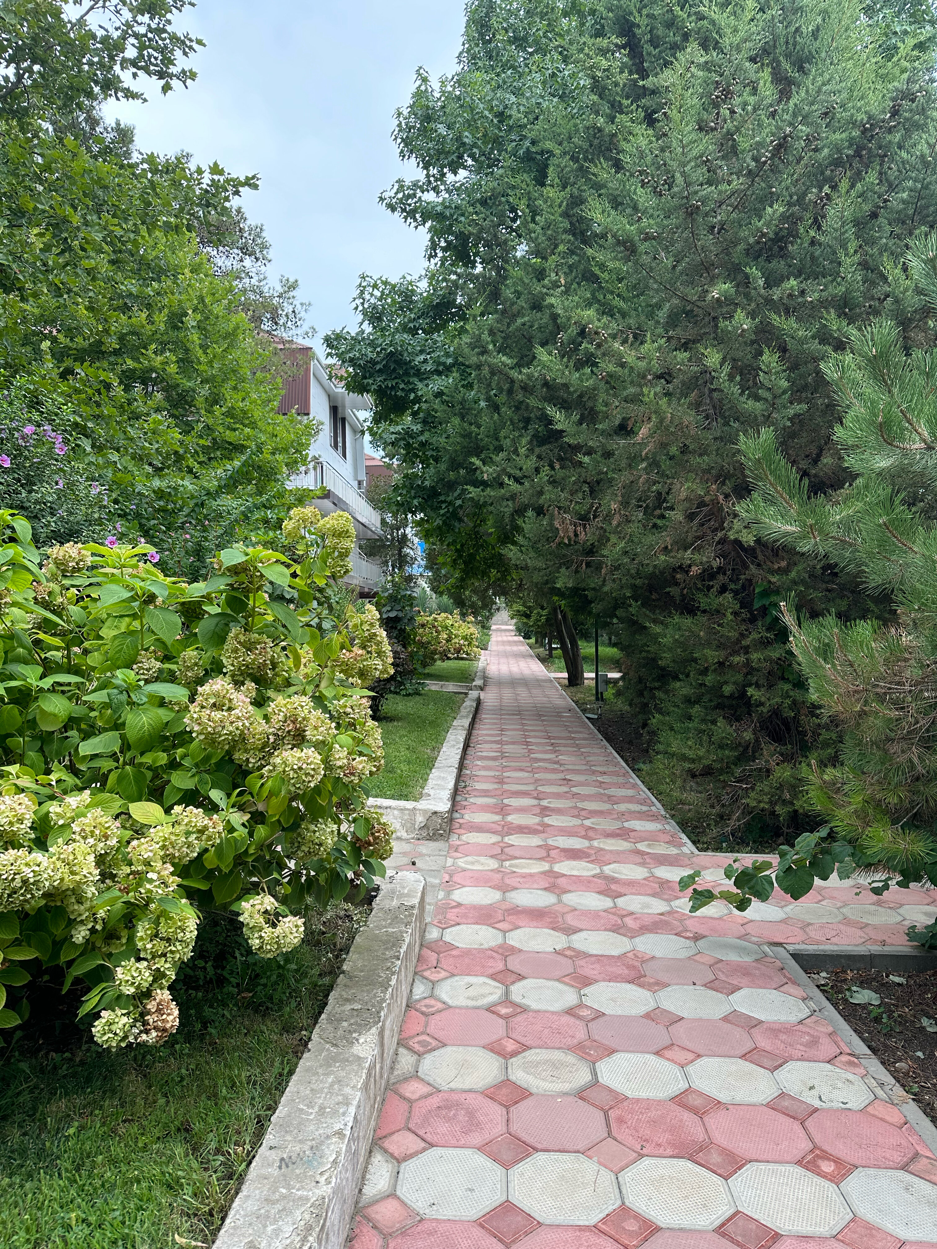 Фото Мореин