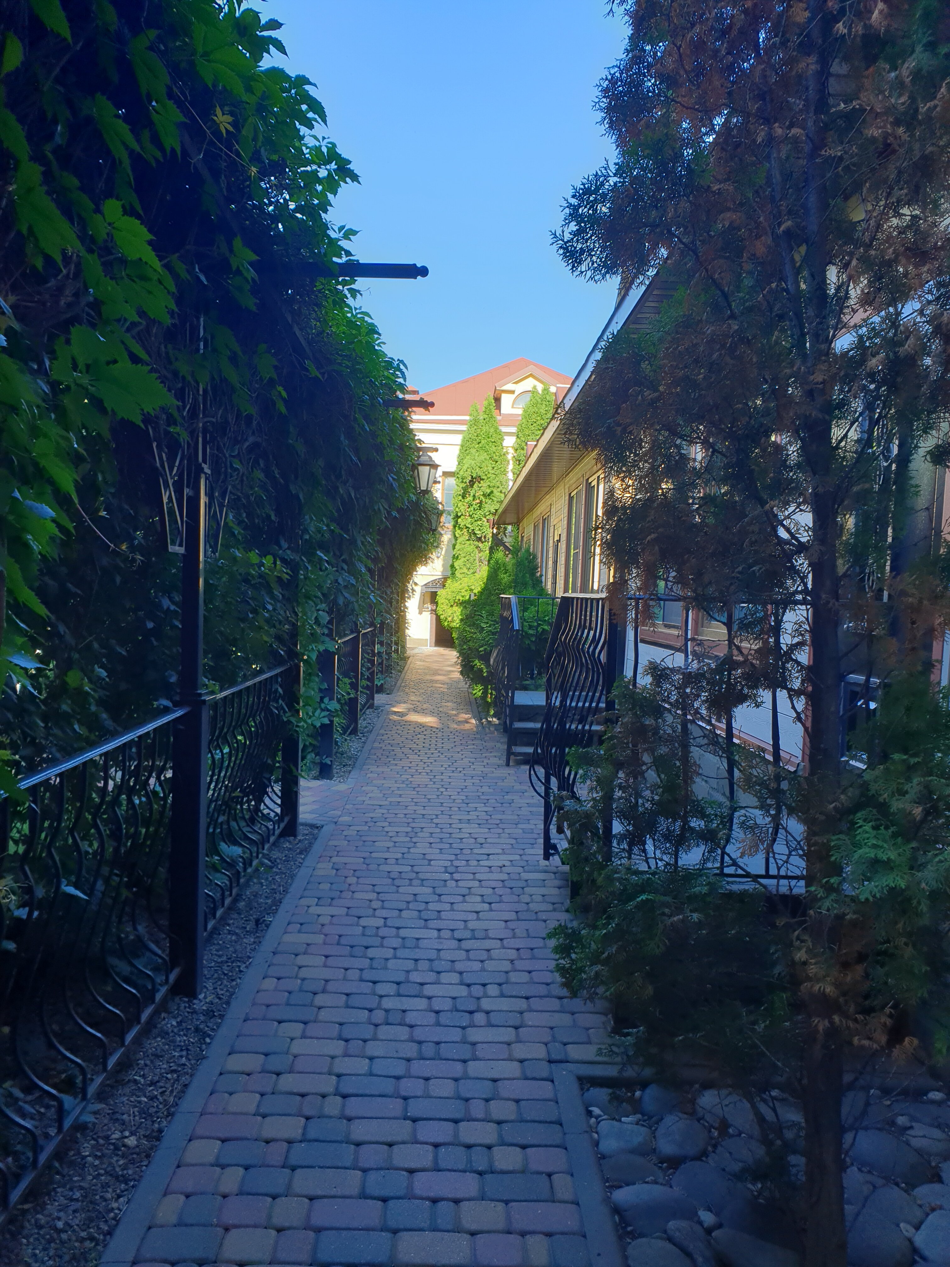 Фото Сударь