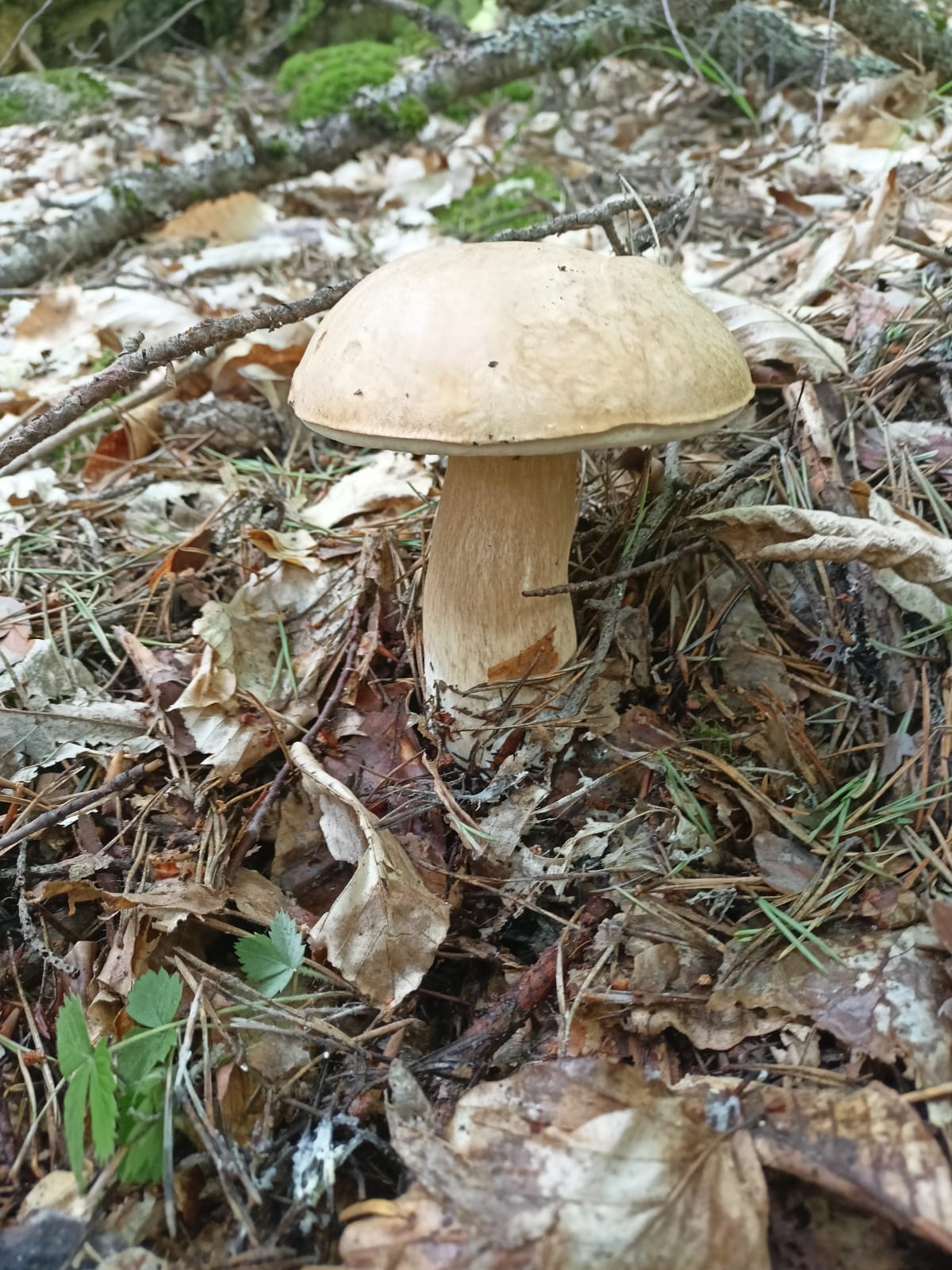 Фото АК Барс