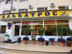 Albatros (posyolok gorodskogo tipa Novomikhaylovskiy, Mira Street, 86), hotel
