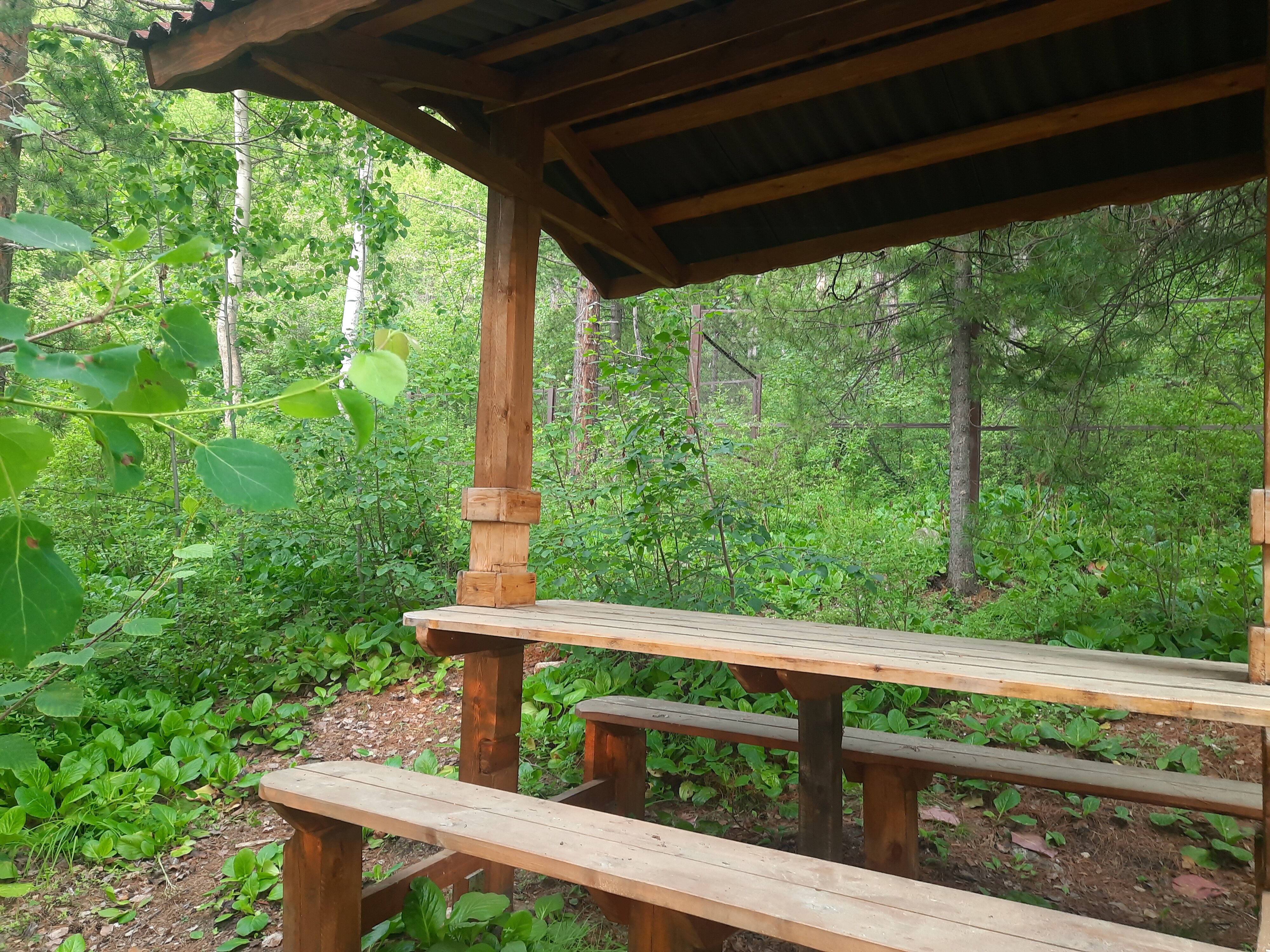 Фото Байкал Пеко