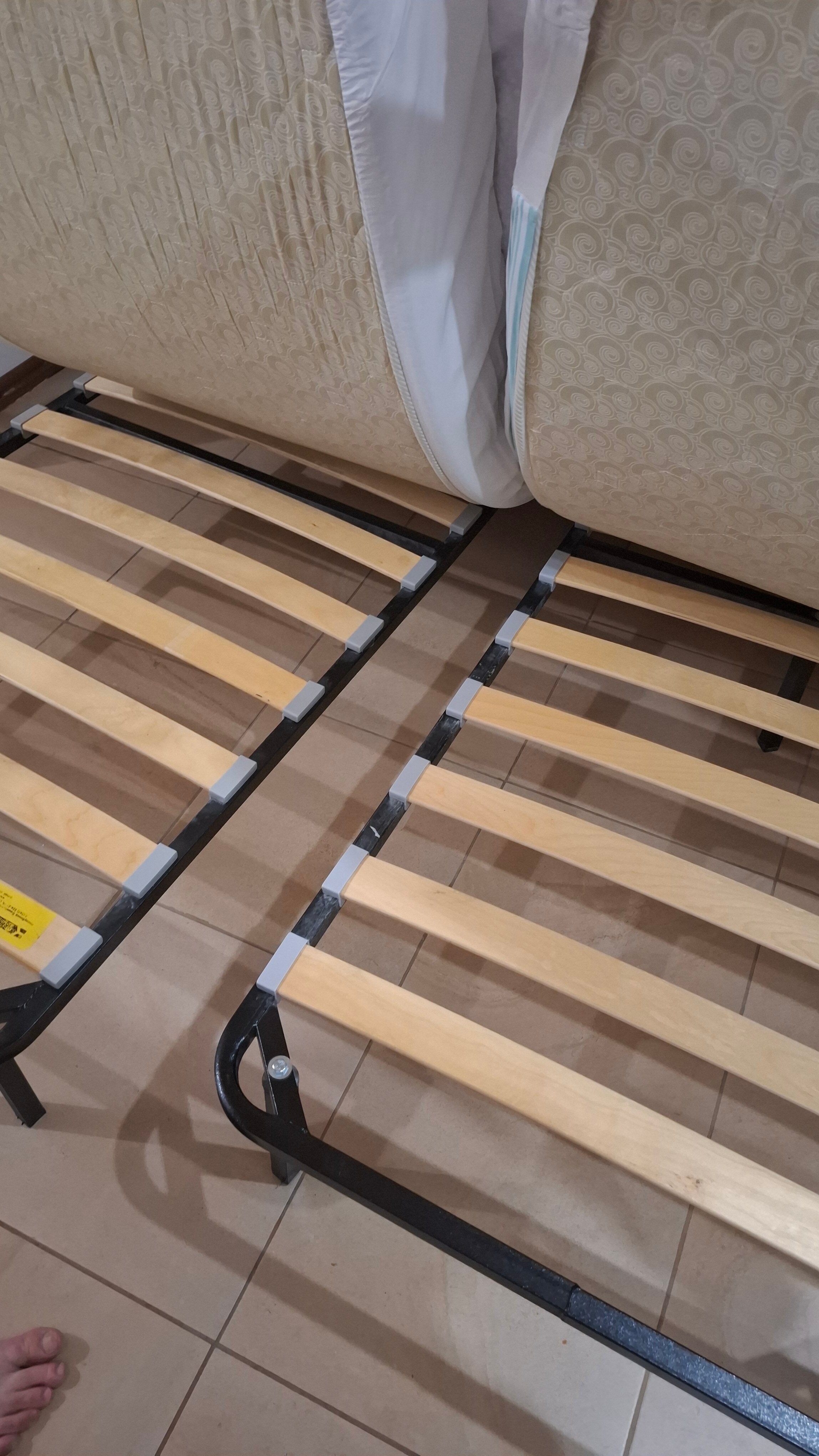 Фото Абсолют