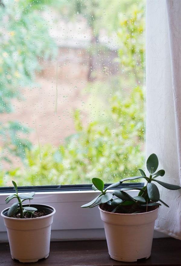 Фото Delphi Palace