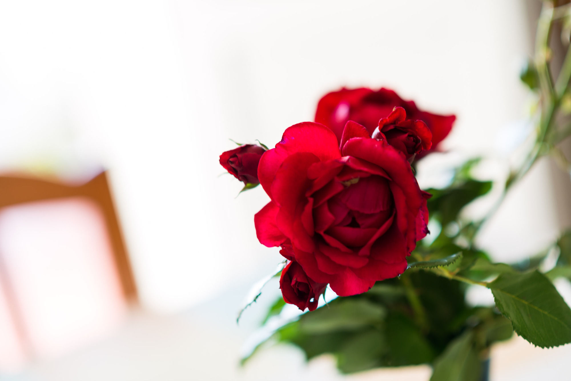 Фото Villa Iveta