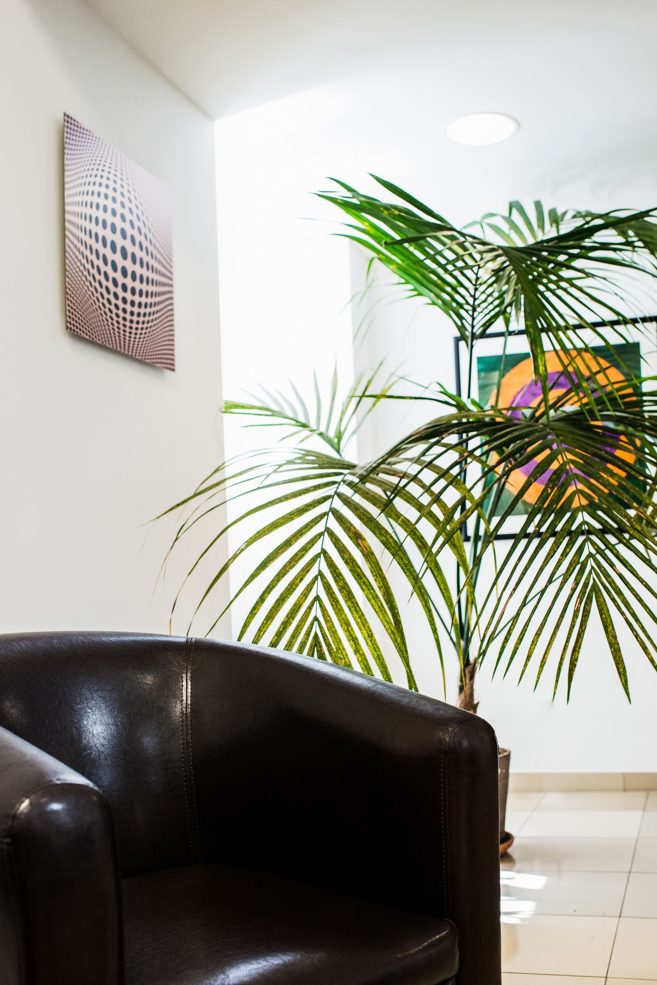 Фото MyNext - Johannesgasse Apartments