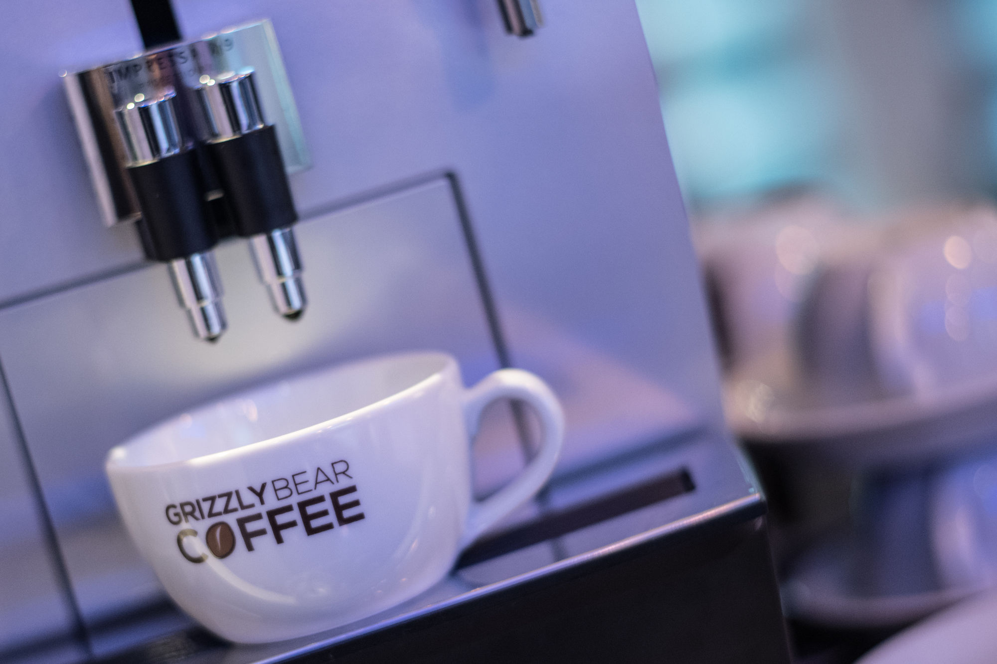 Фото Ivy Mount Boutique