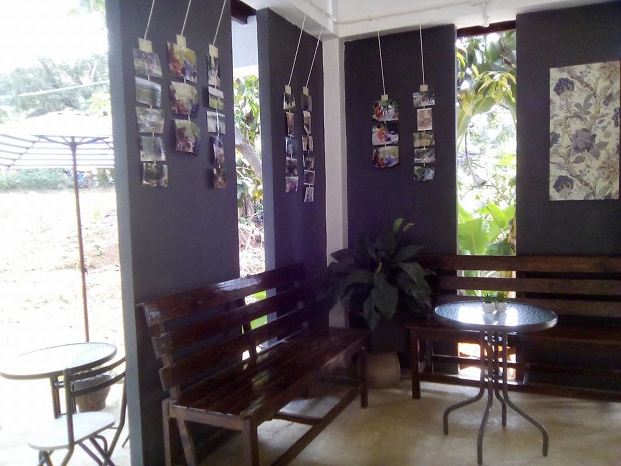 Фото Ui Bai Valley