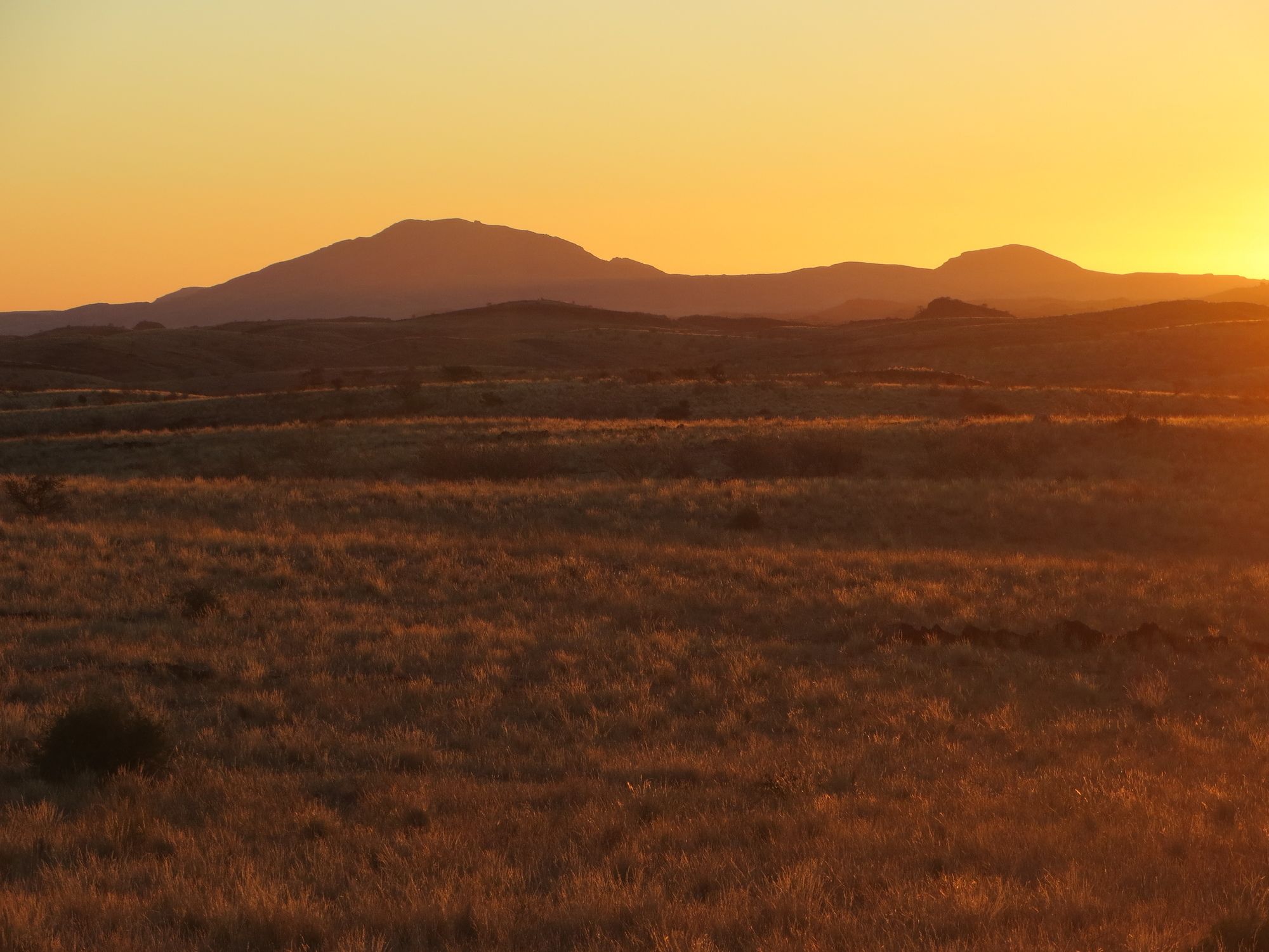 Фото Corona Guest Farm