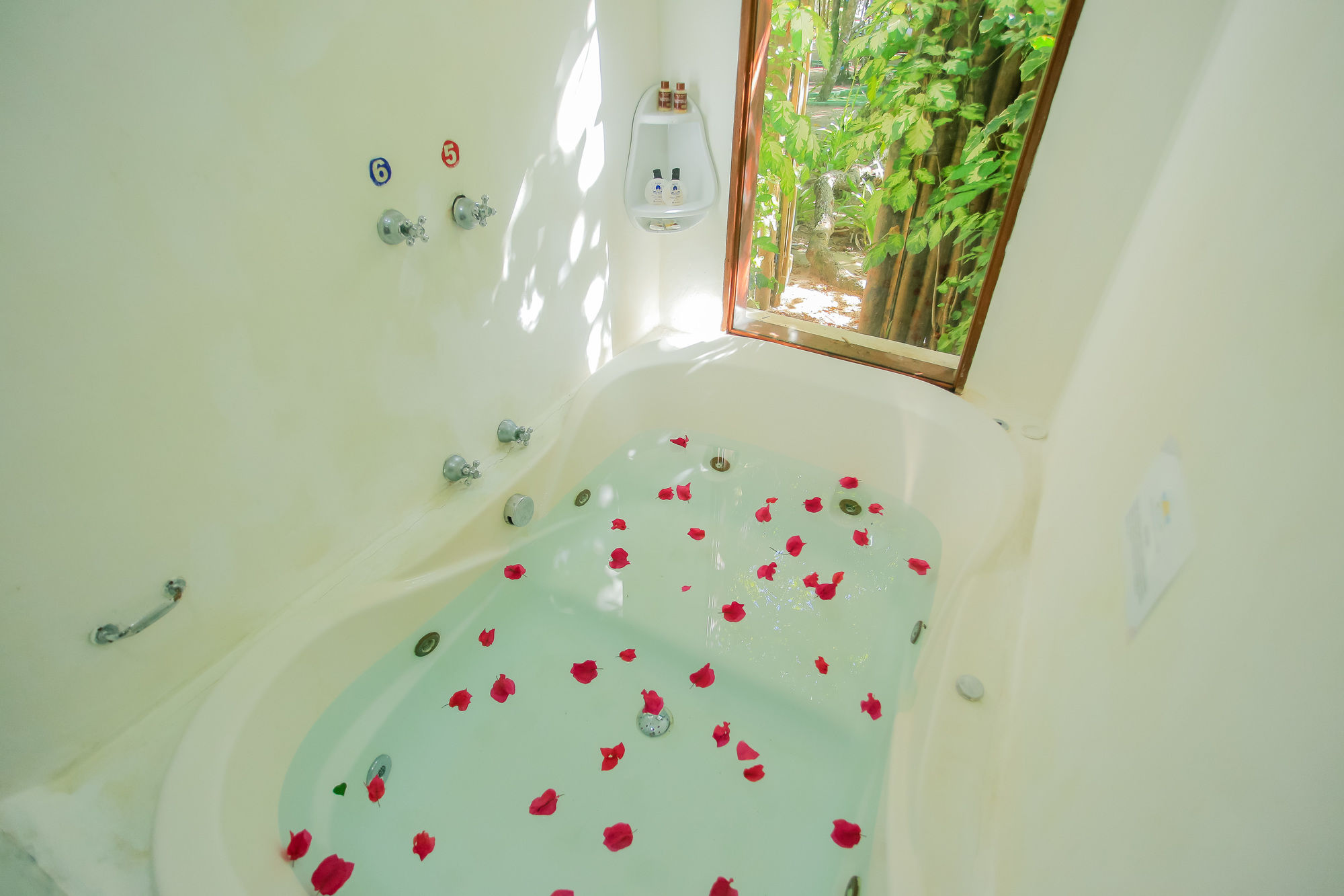 Фото Travel Inn Trancoso