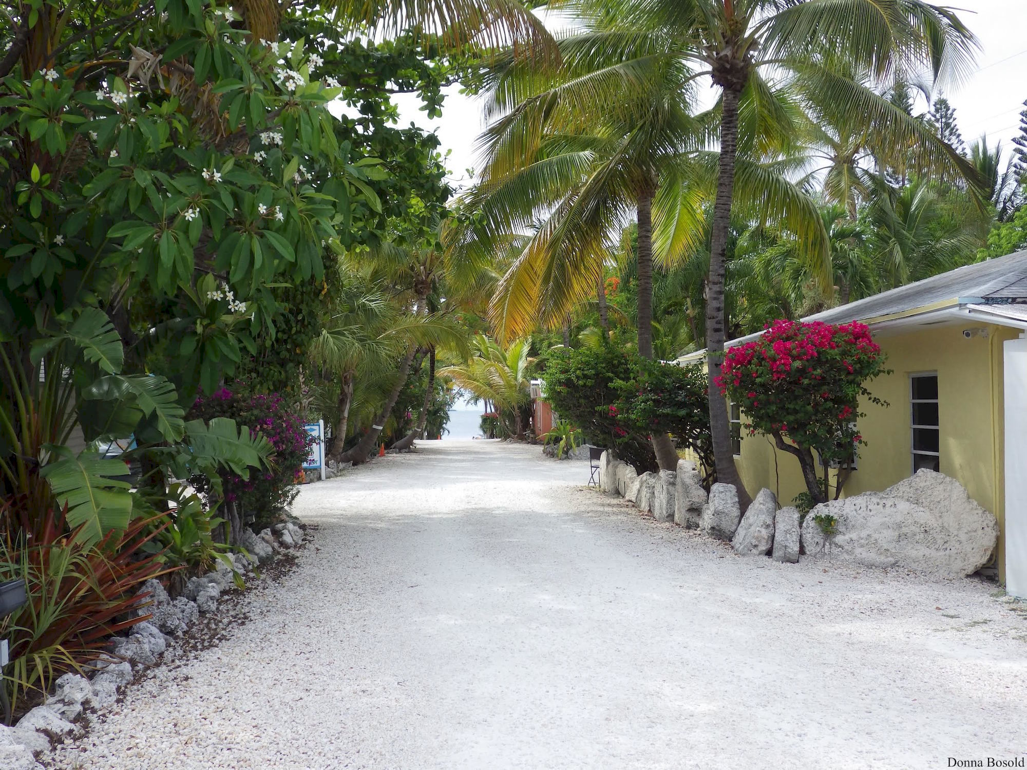 Фото The Pelican Key Largo Cottages