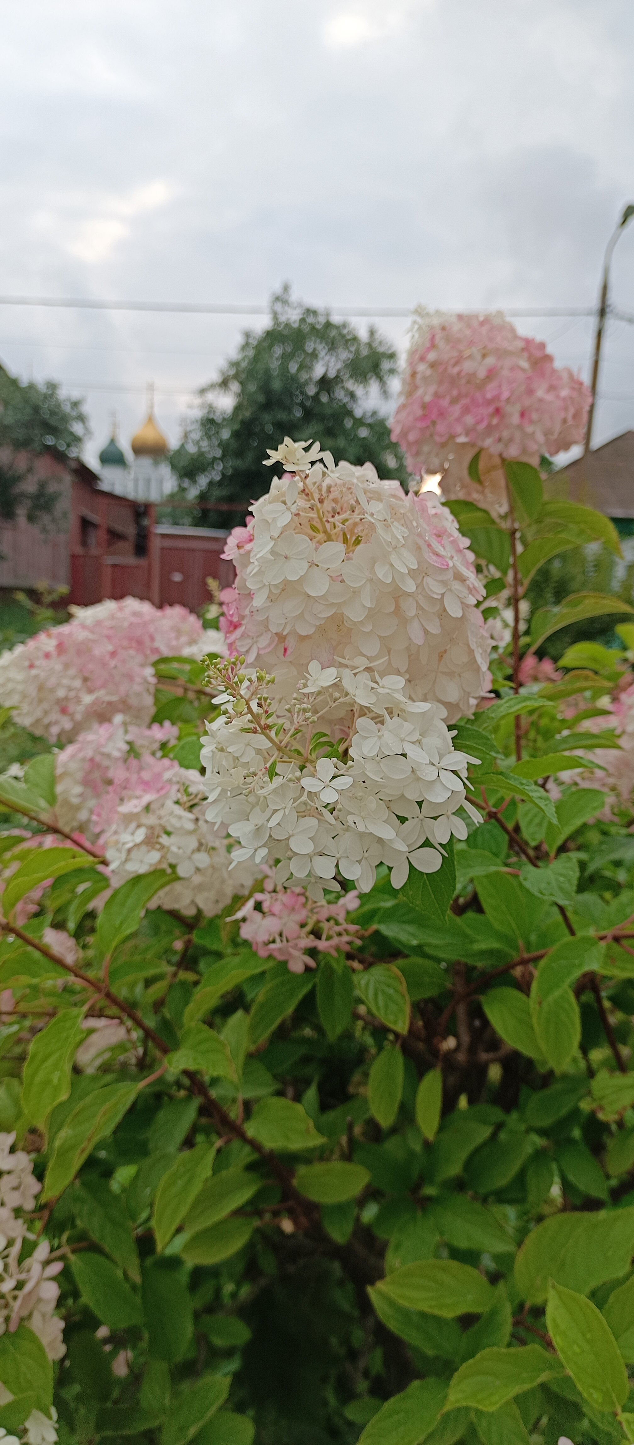 Фото Коломна