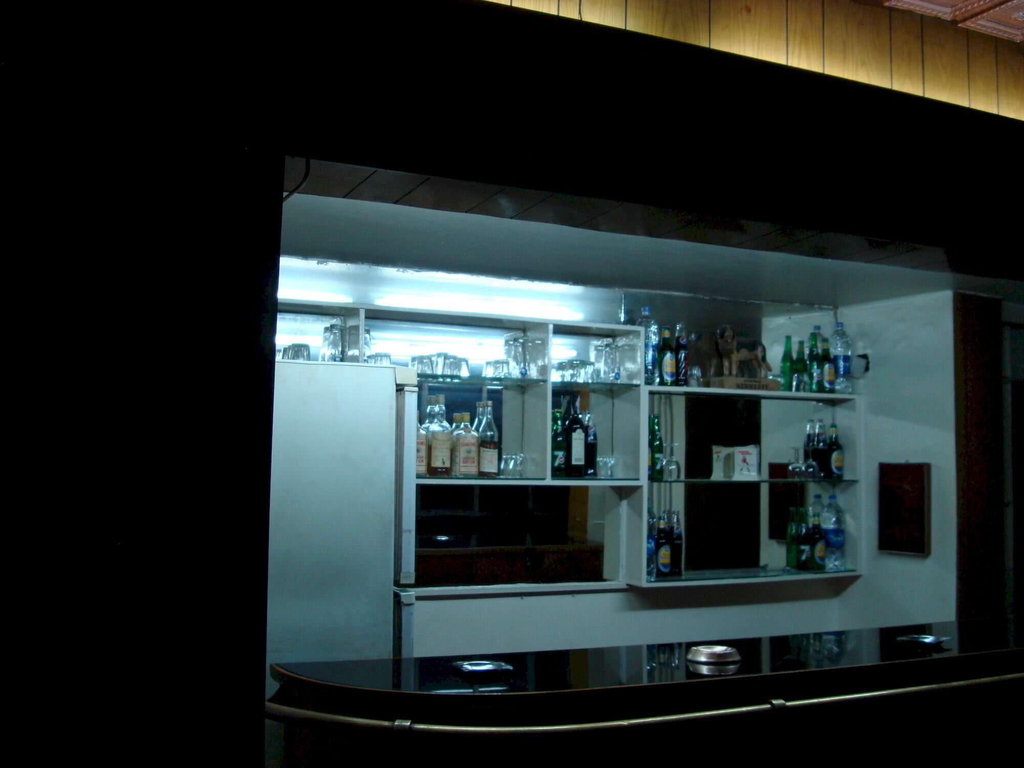 Фото Lotus Hotel