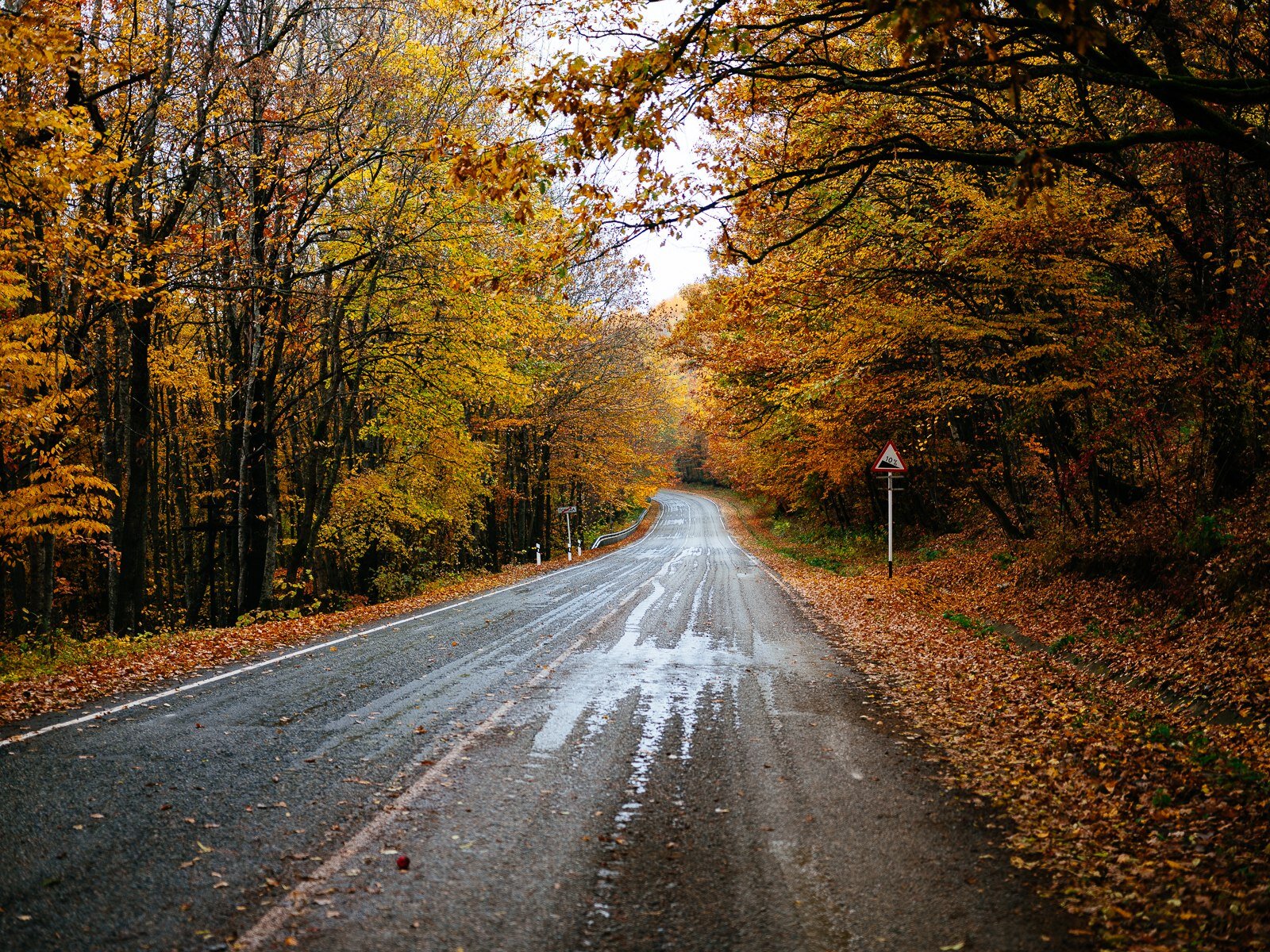 Фото Тихий Лес