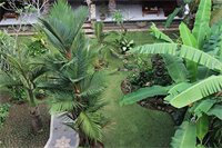 Фото Ubud Sensasi Bungalows