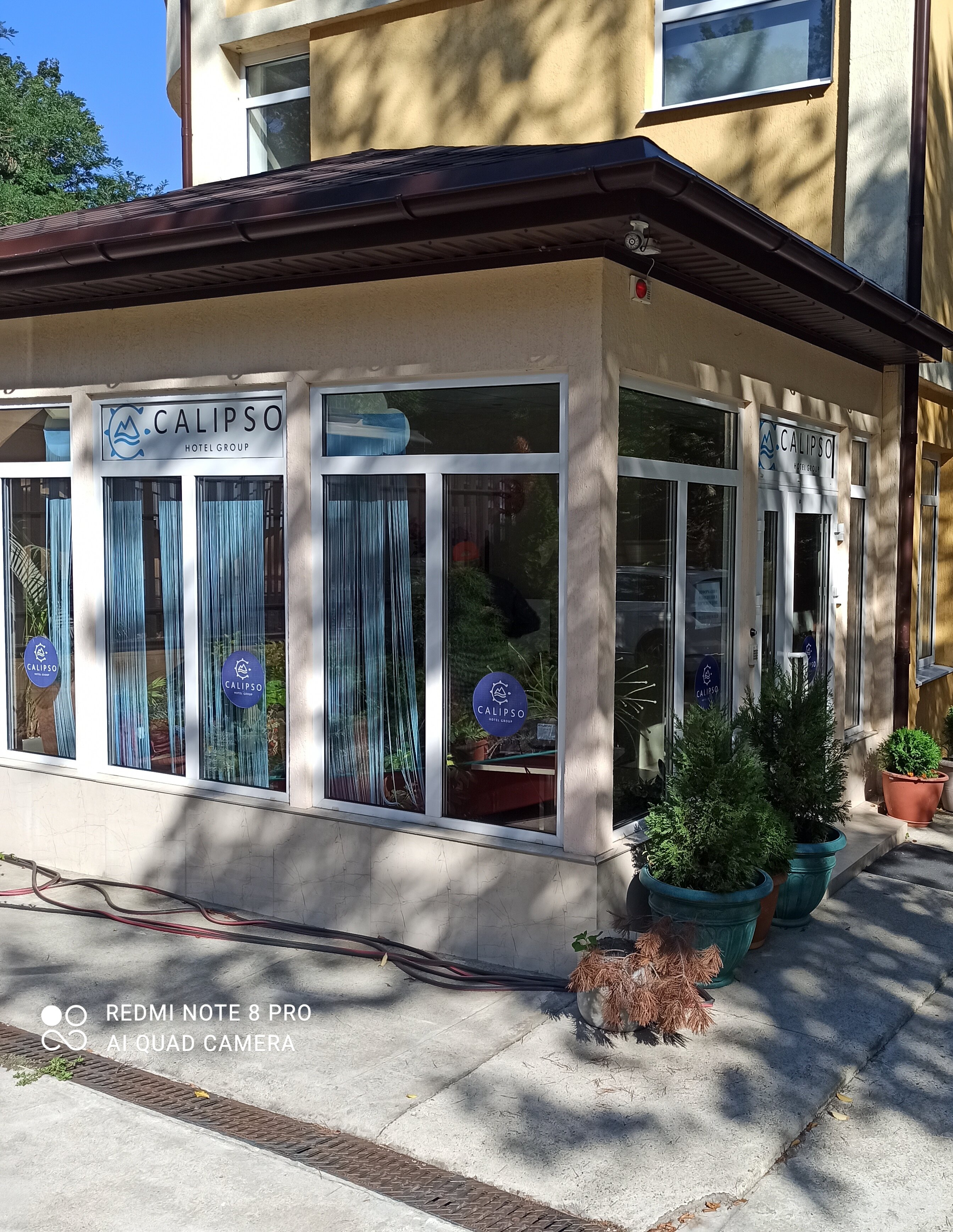 Фото Калипсо