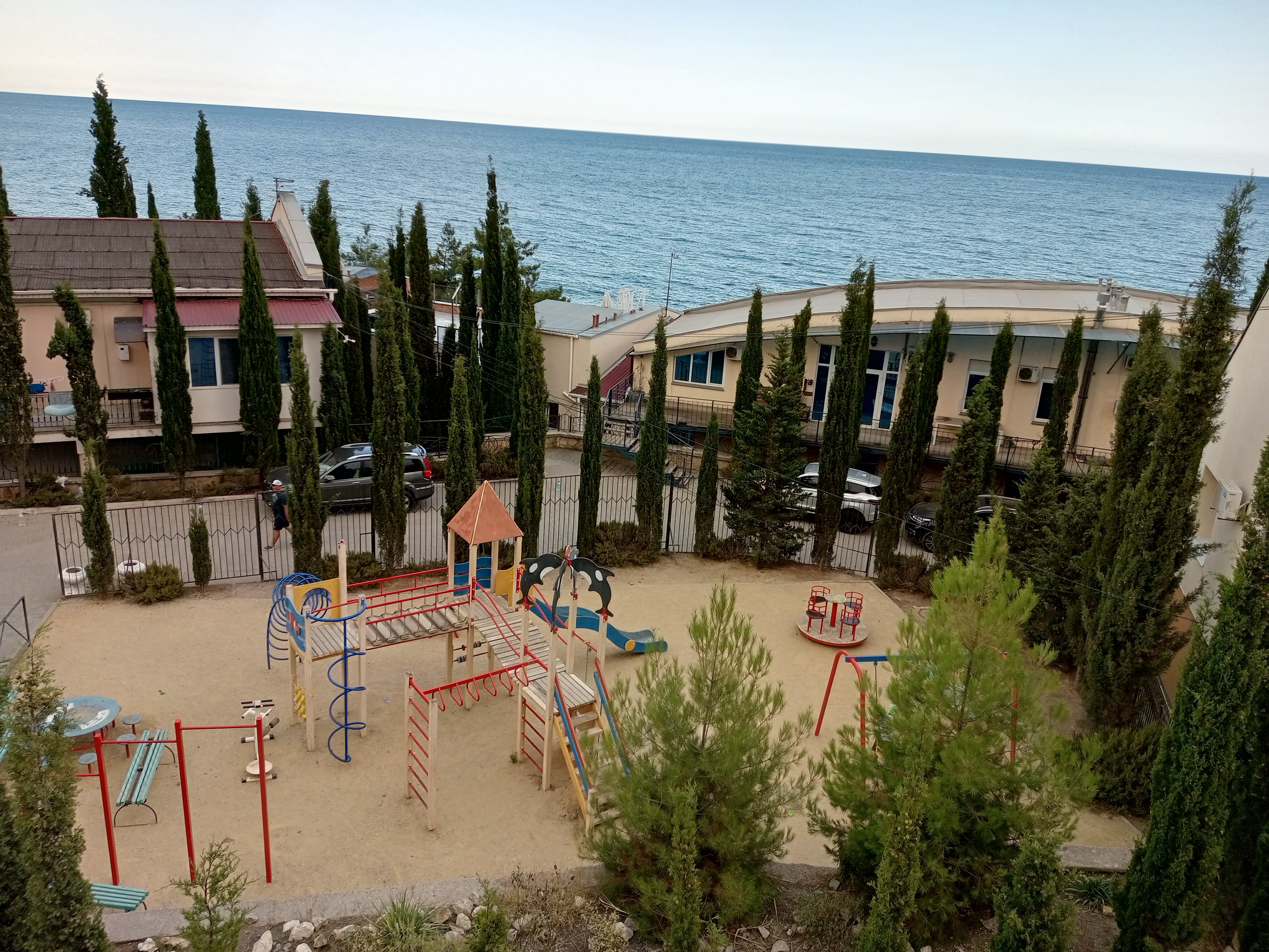 Фото Лаванда