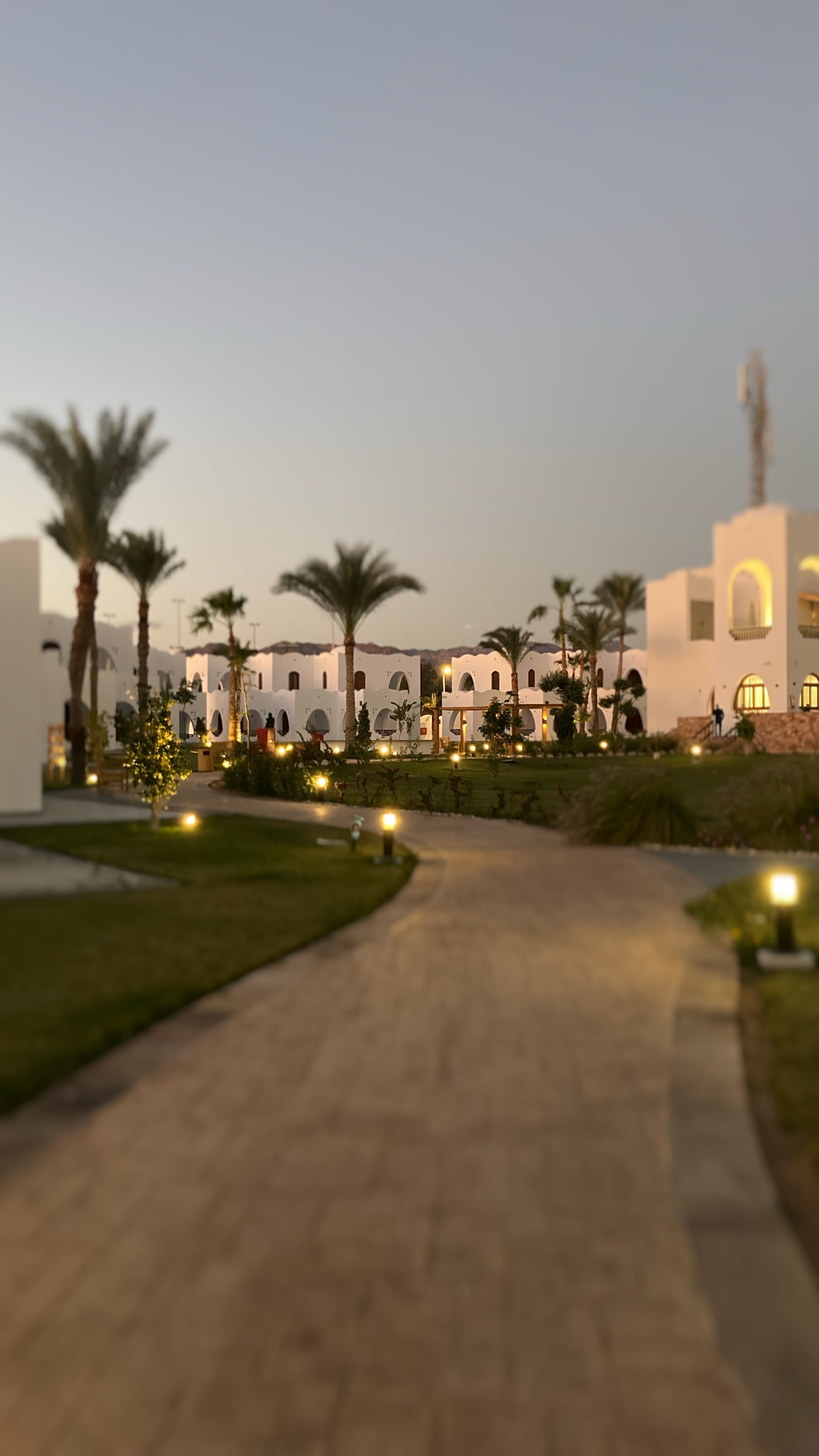 Фото Safir Dahab Egypt