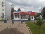 Myasnoy (Mussa Jalil Avenue, 80А) ، متجر جزارة، ديلي