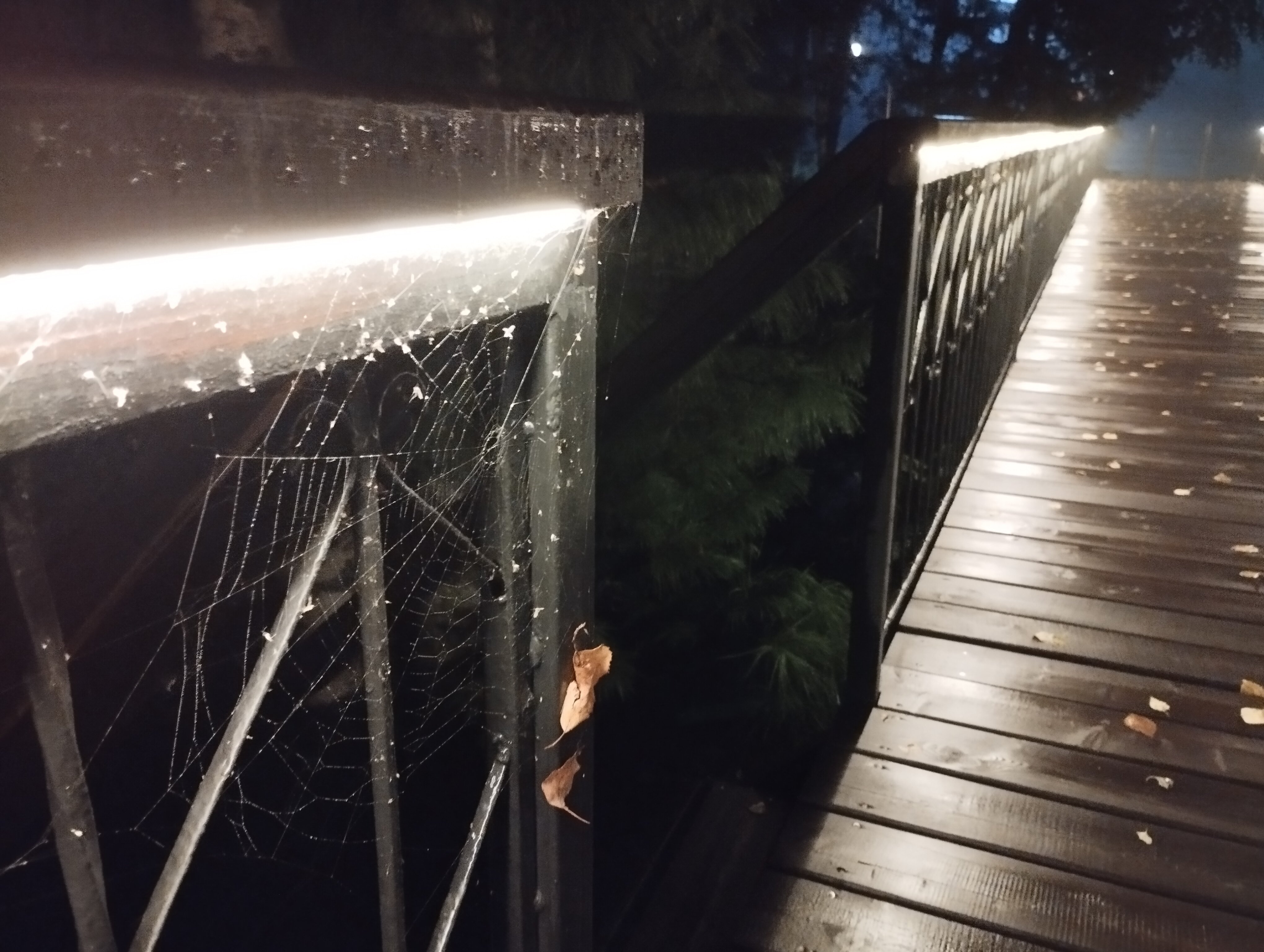 Фото Фантазия