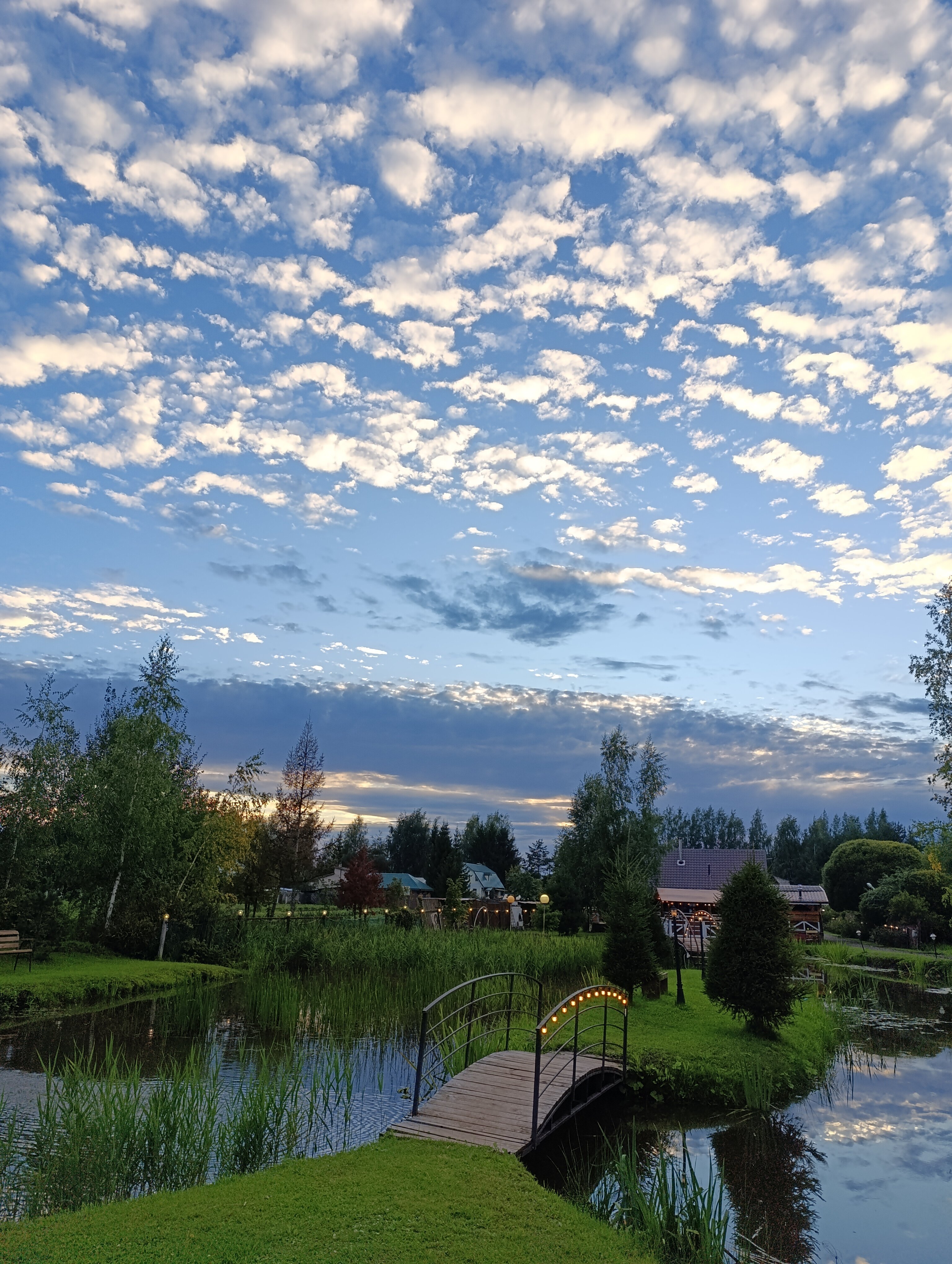 Фото Моисеевичи Life