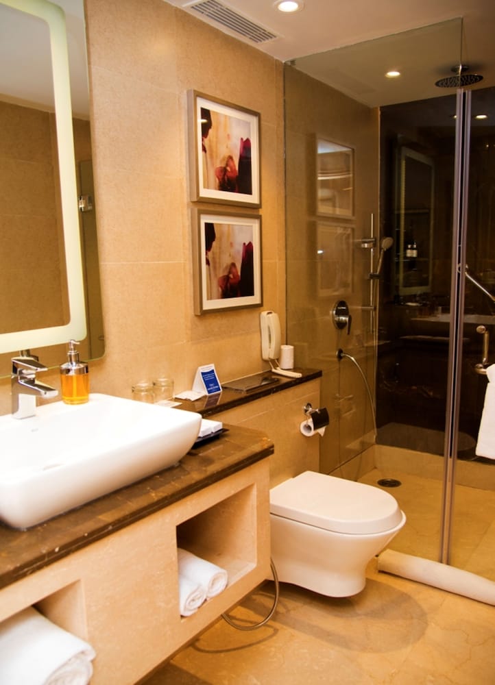 Фото Crystal Sarovar Premiere Agra