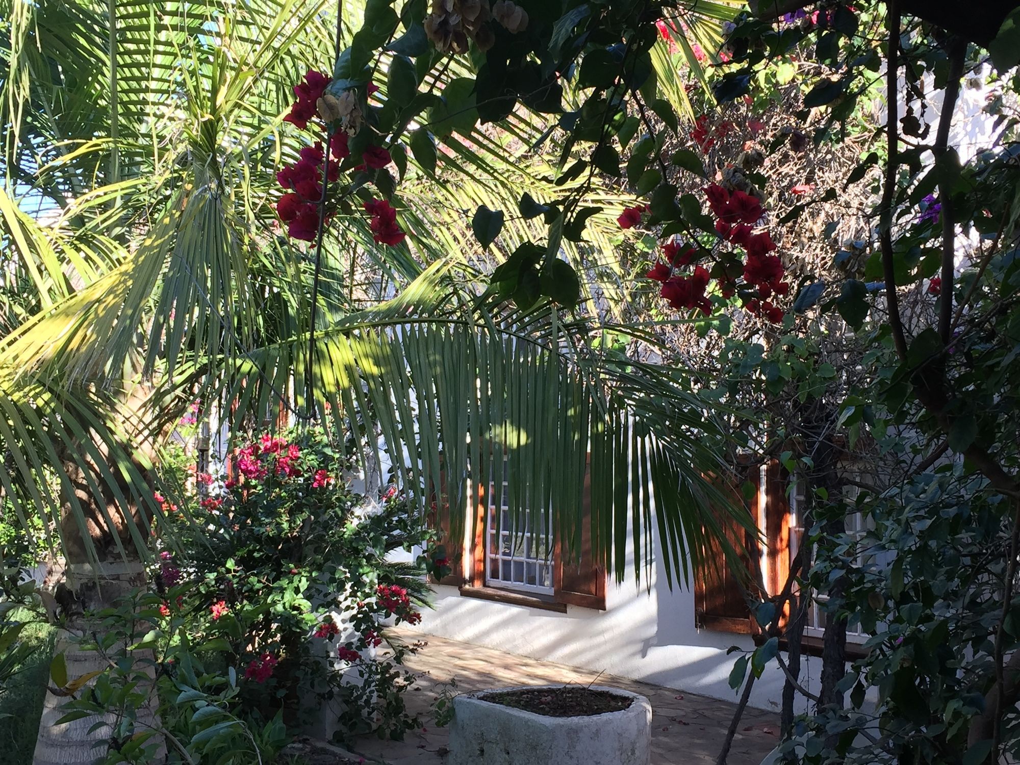 Фото Wittedrift Manor House