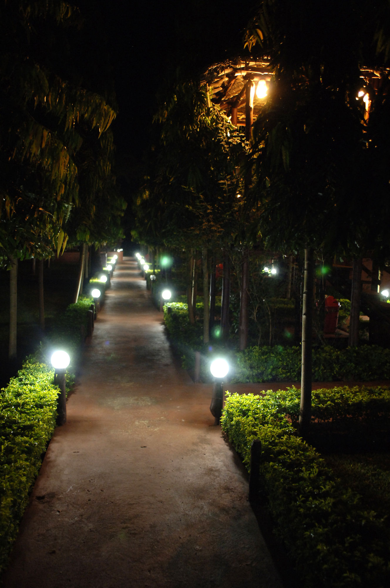 Фото Sunrise Beach Resort