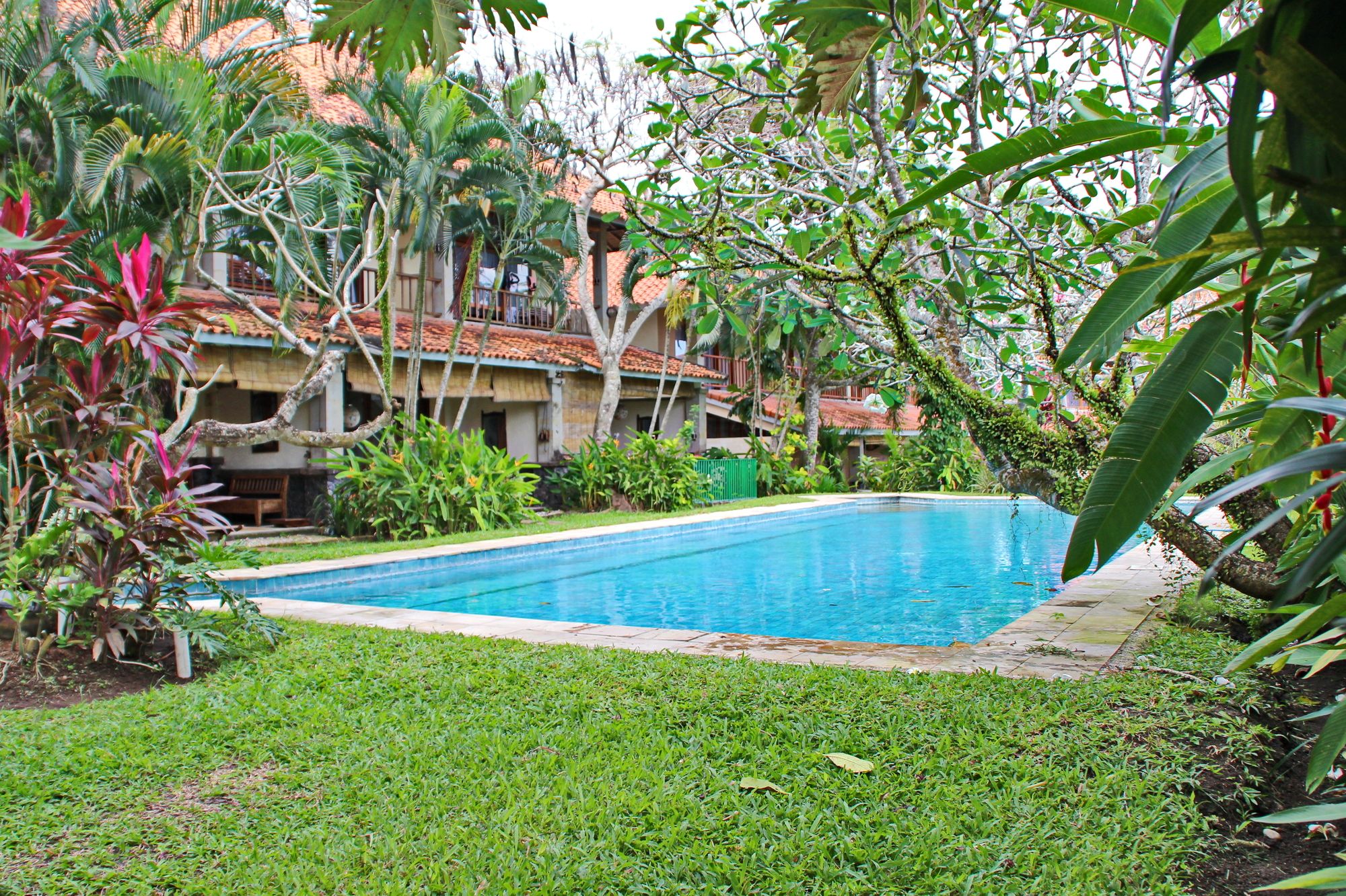 Фото Canggu Suites