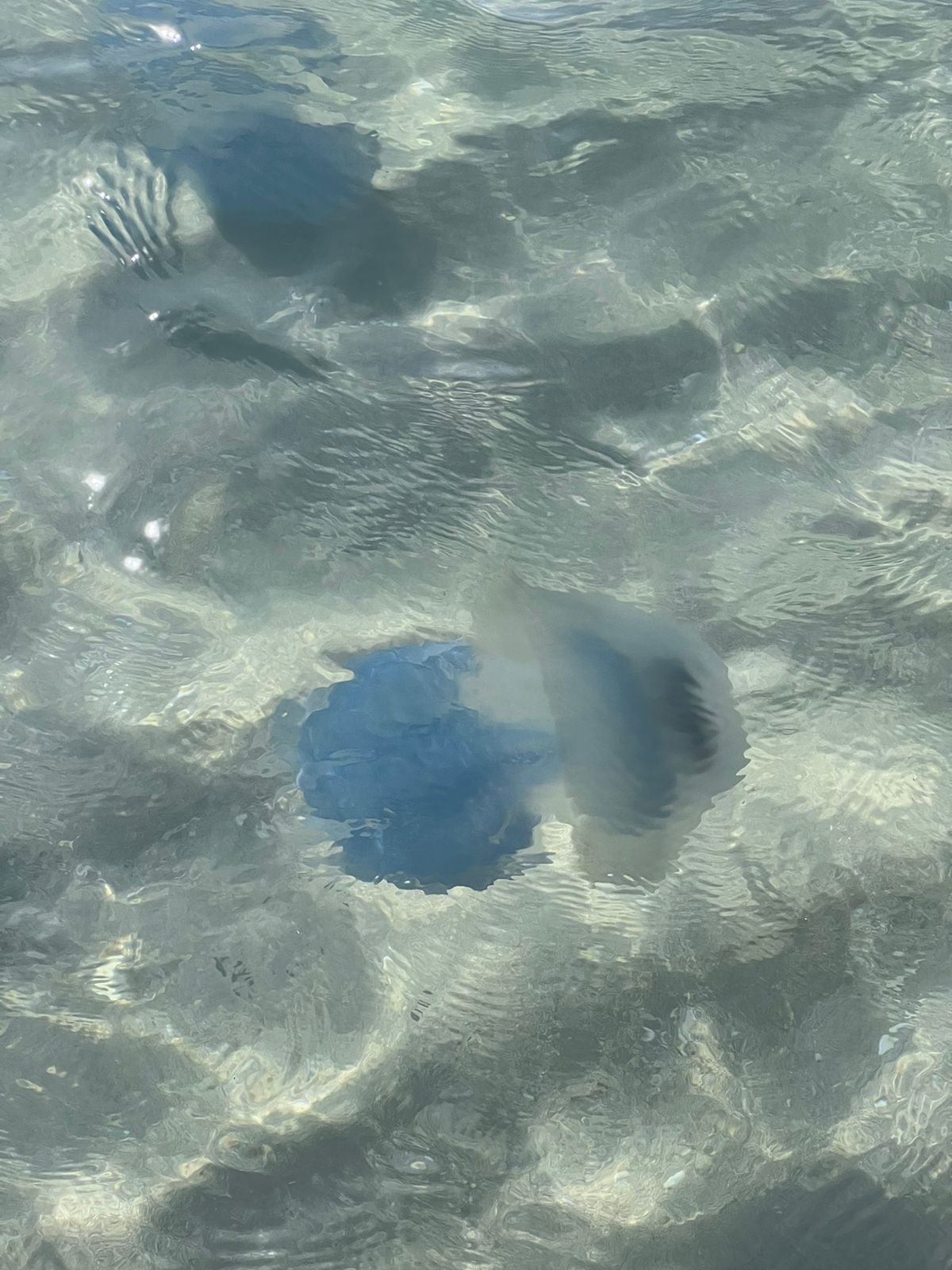 Фото Сахалин