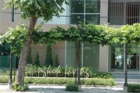 Фото Bangkok Living