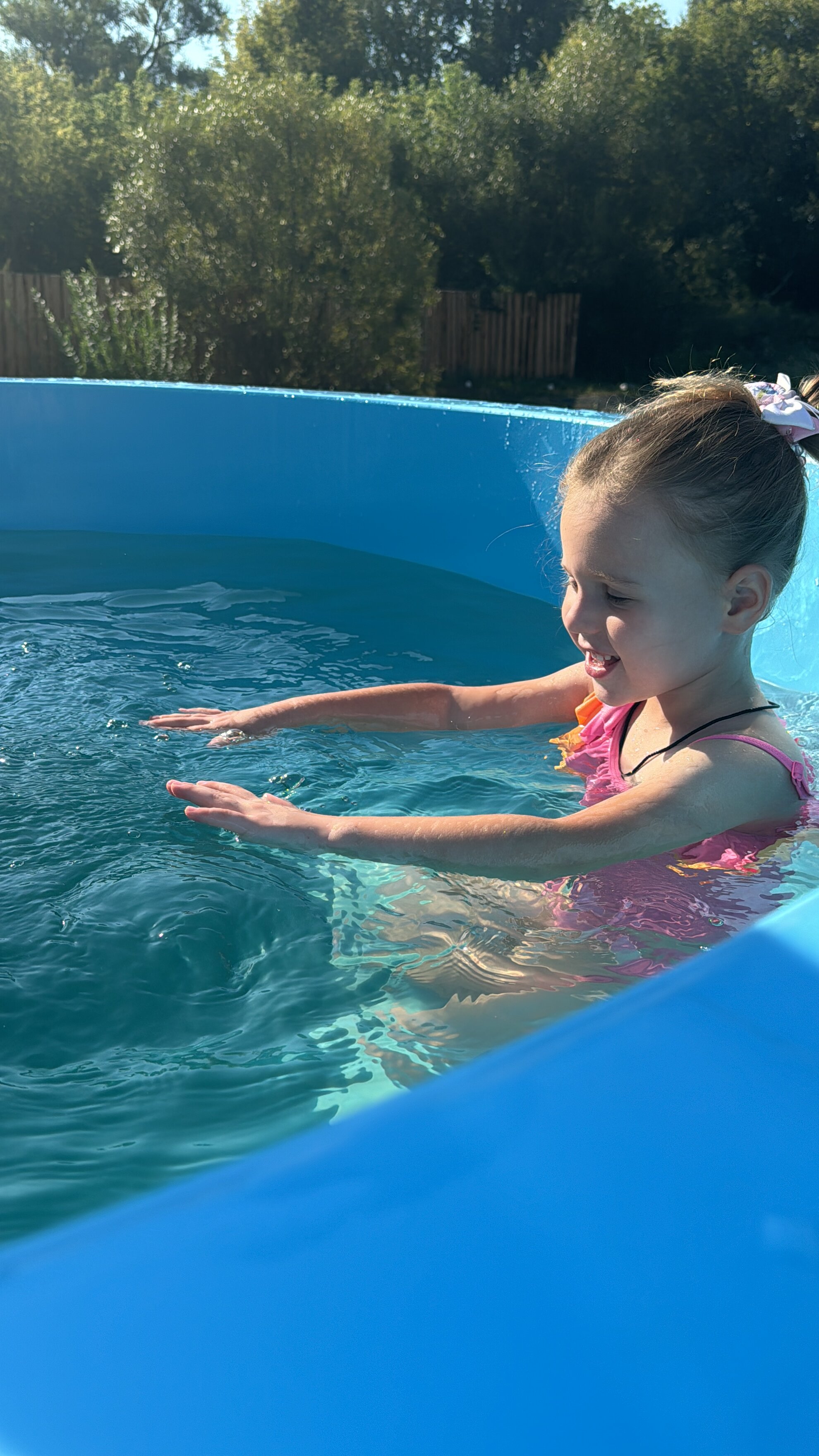 Фото Камыши