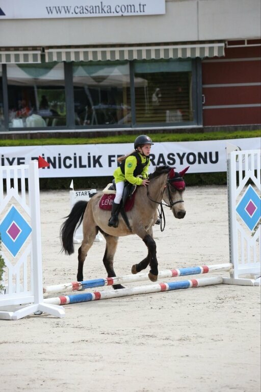 School Mehmet Emin-Zekiye Ustunel Secondary School, Gaziantep, photo