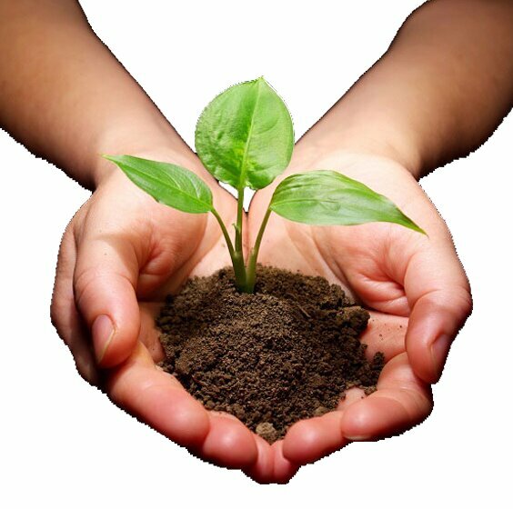 Seed shop El-San Tarim, Antalya, photo