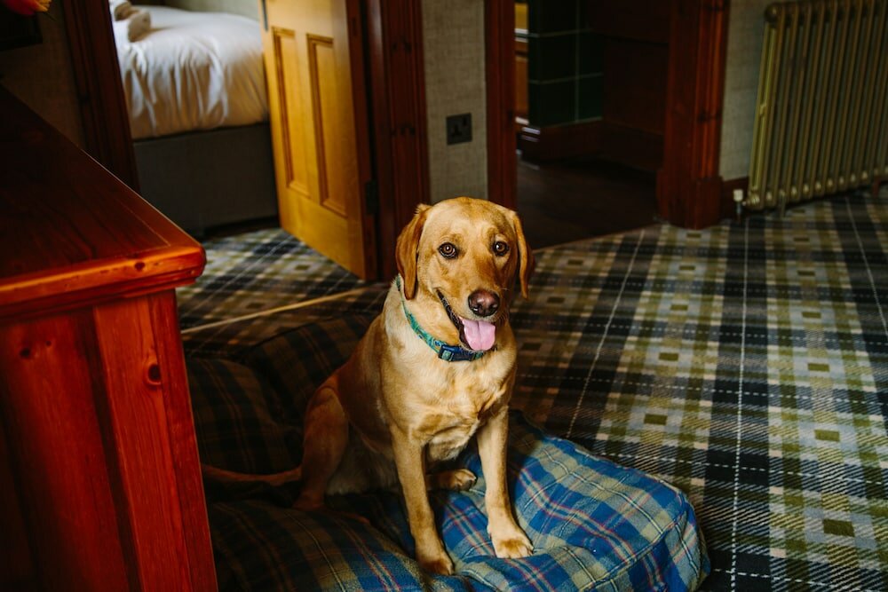 Фото Dunkeld House Hotel