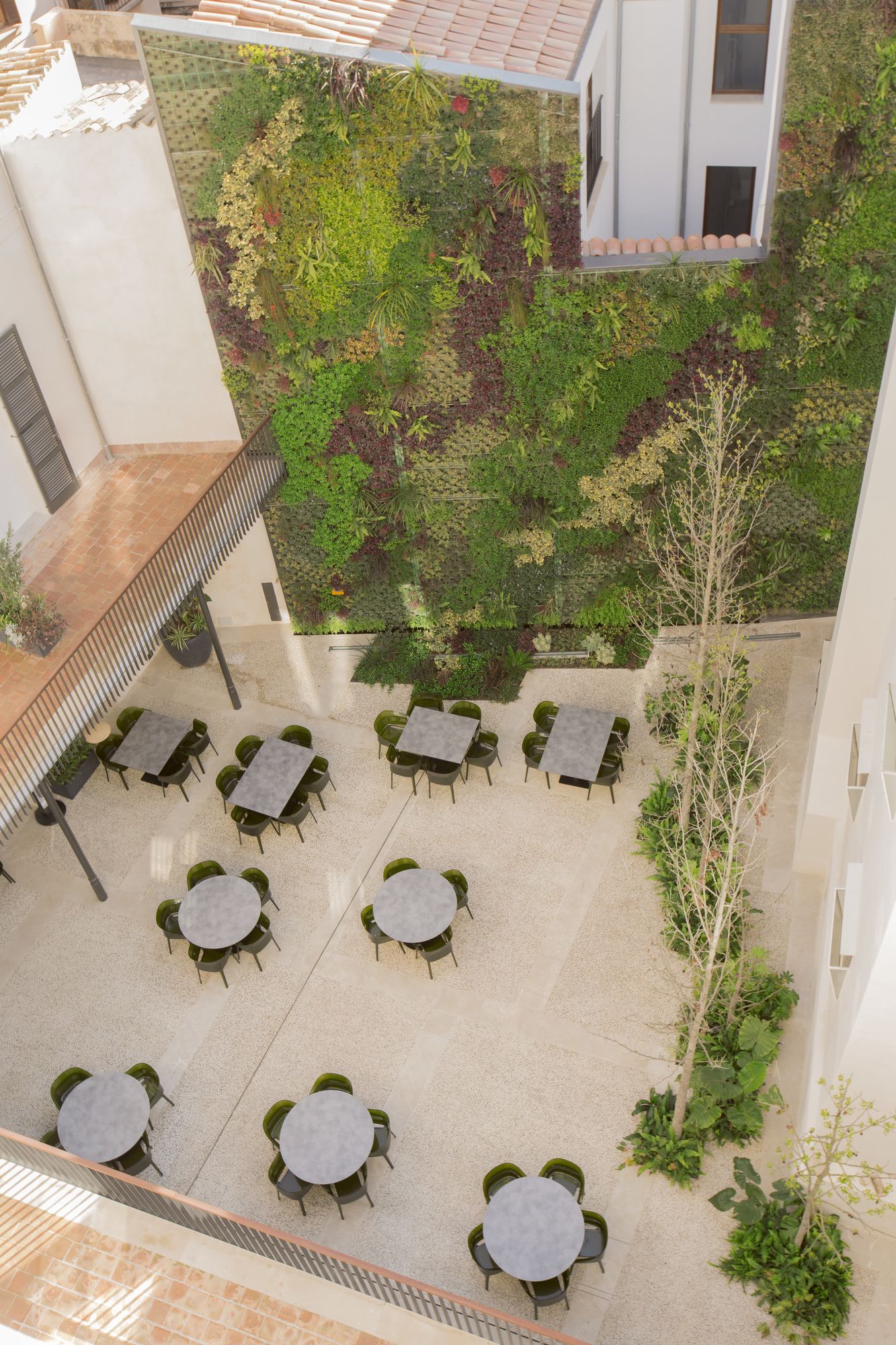 Фото Icon Rosetó