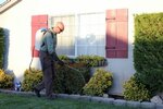 Platin Pest Control Services (İstanbul, Esenler, Oruçreis Mah., Tekstilkent Cad., 5), disinfection, disinsection, deratization